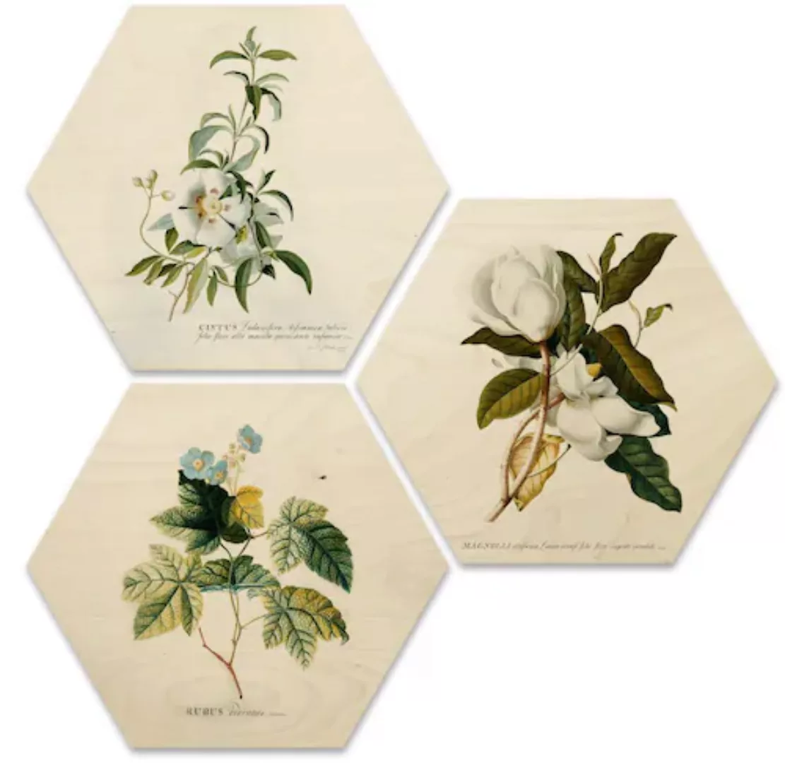 Wall-Art Mehrteilige Bilder "Botanische Collage Blumen Floral", Tiere, (Set günstig online kaufen