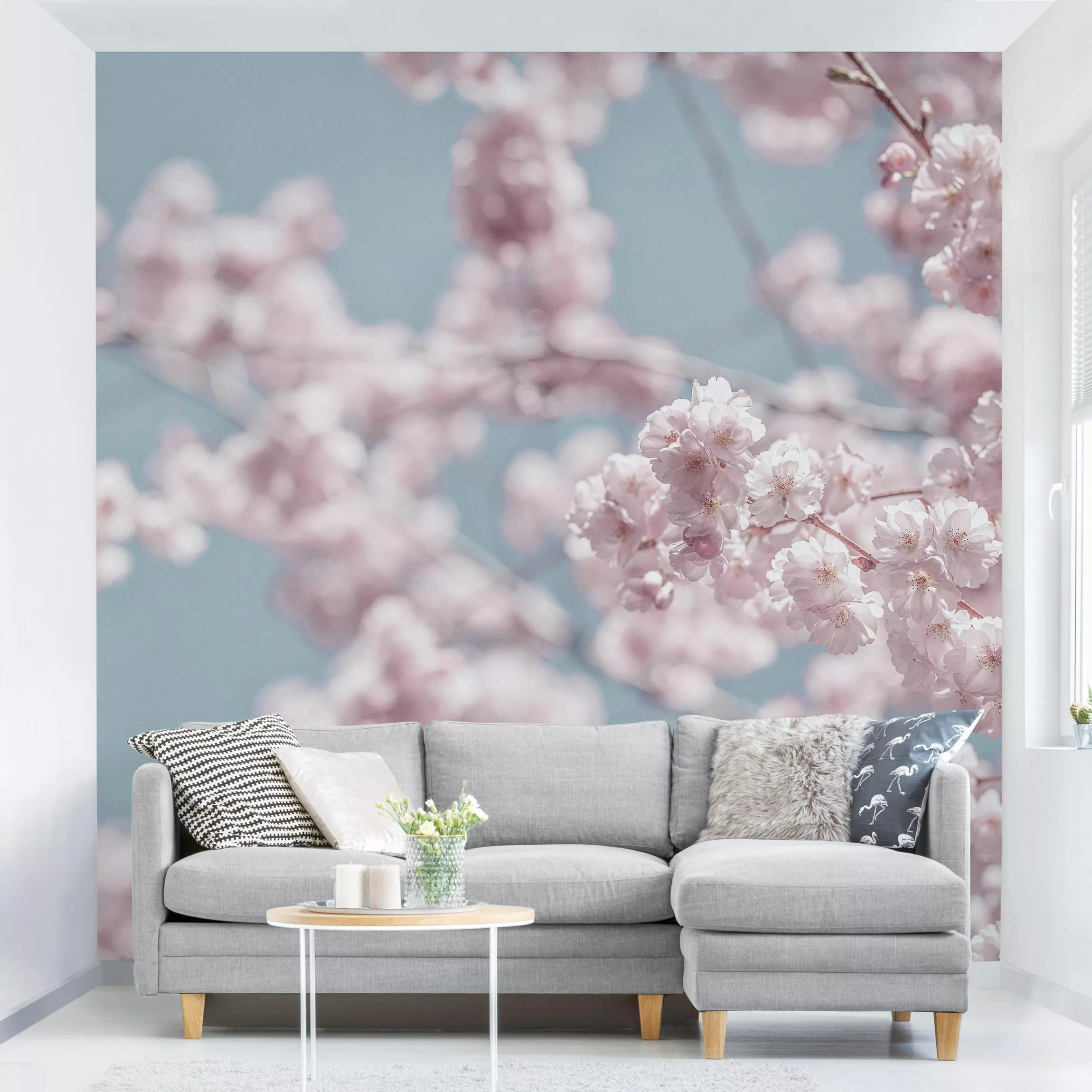 Fototapete Kirschblütenparty günstig online kaufen