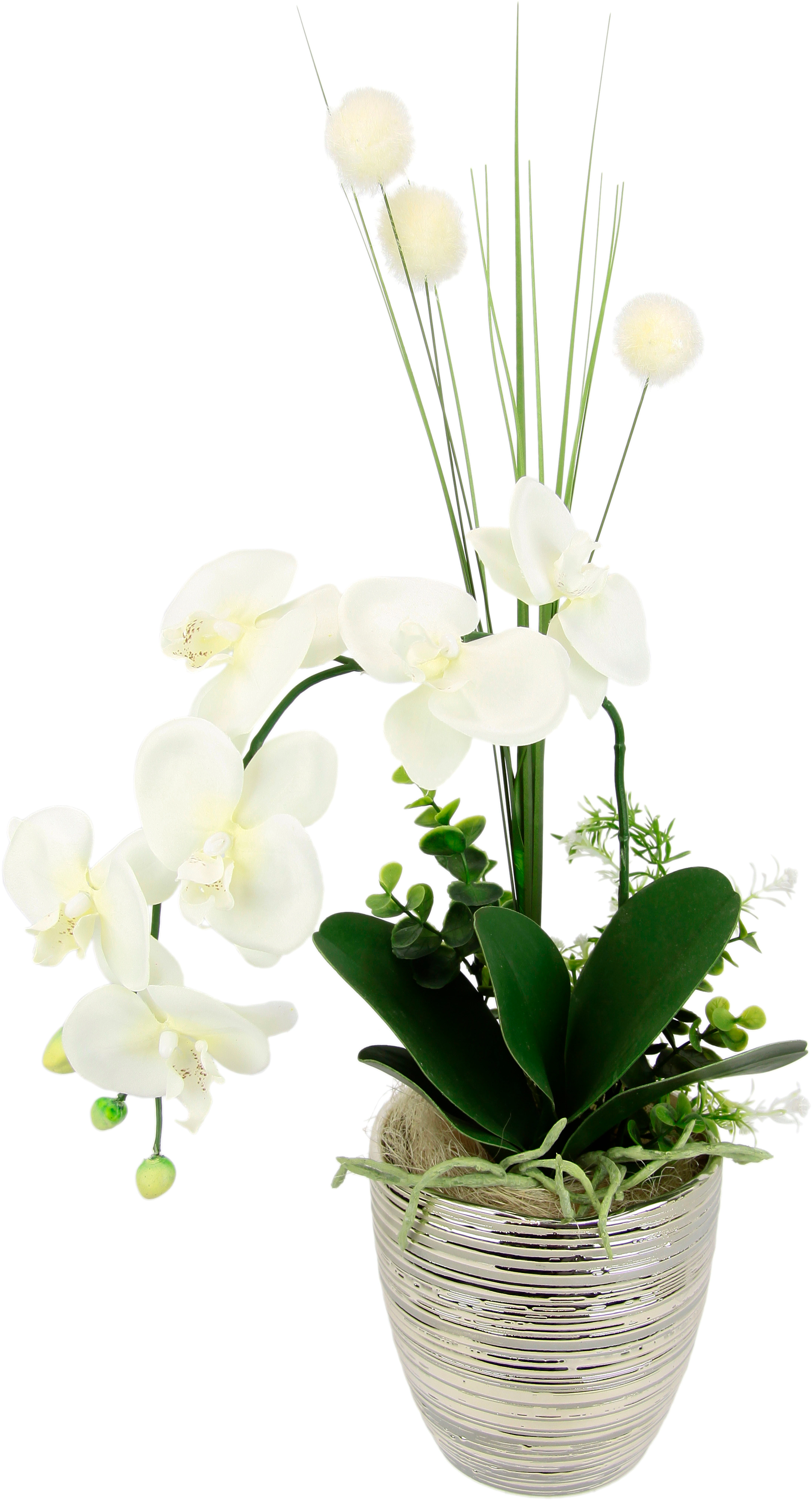 I.GE.A. Kunstblume "Arrangement Orchidee/Gras", Topf aus Keramik günstig online kaufen