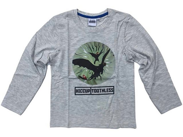 DreamWorks Langarmshirt Dragons Langarmshirt günstig online kaufen