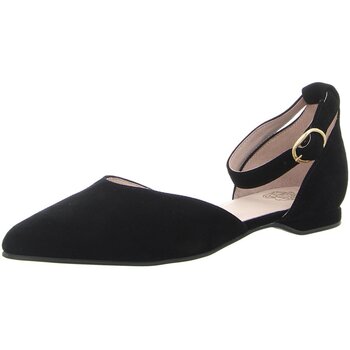 Apple Of Eden  Ballerinas SS25-BRUNA 1.1 günstig online kaufen