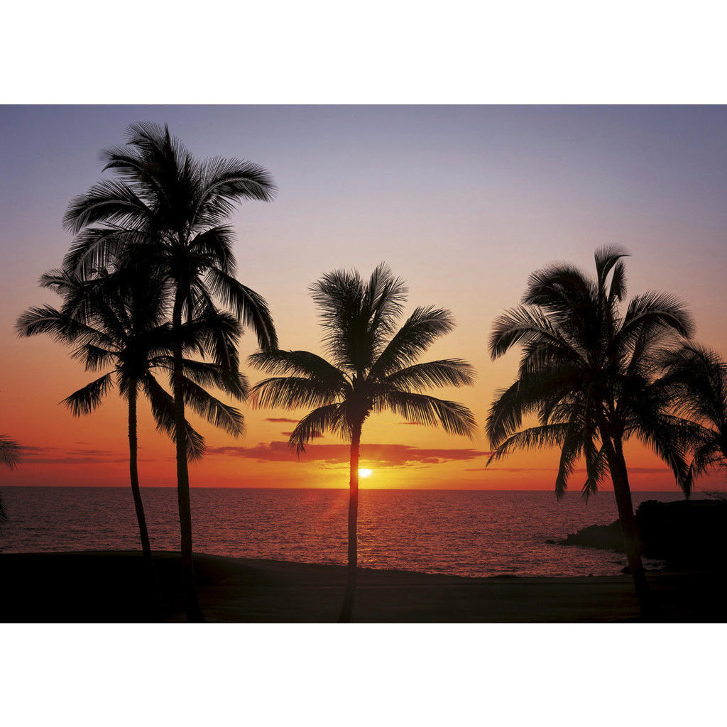 Komar Fototapete Hawaii B/L: ca. 368x254 cm günstig online kaufen