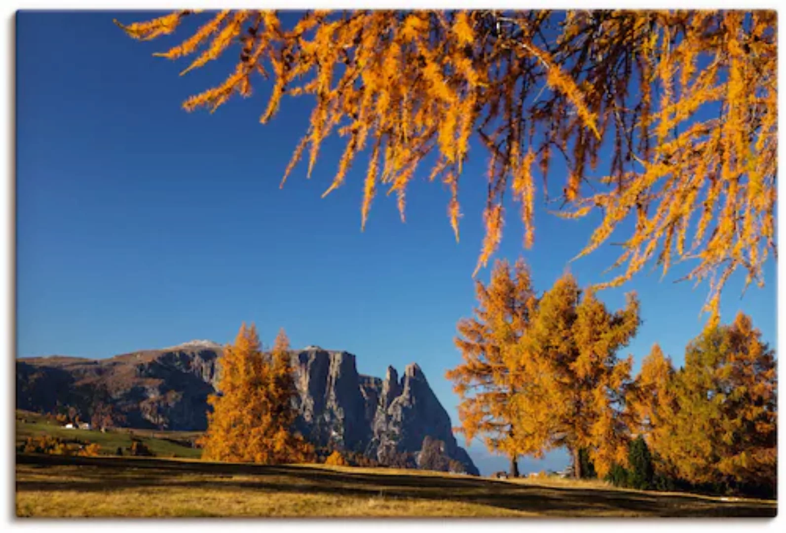 Artland Leinwandbild »Goldener Herbst auf der Seiser Alm«, Wiesen & Baumbil günstig online kaufen