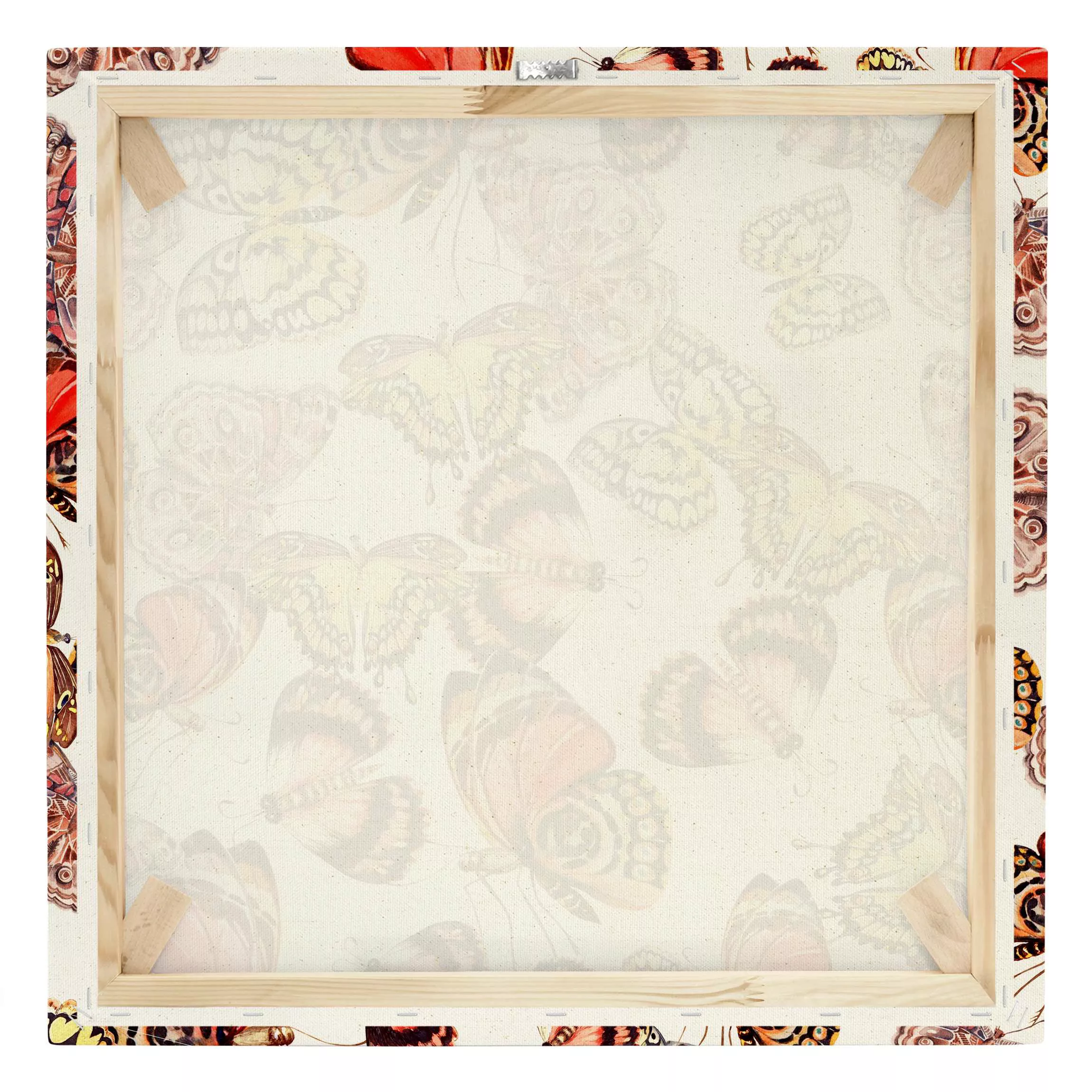 Leinwandbild auf Naturcanvas Schwarm von Schmetterlingen Pfauenauge günstig online kaufen