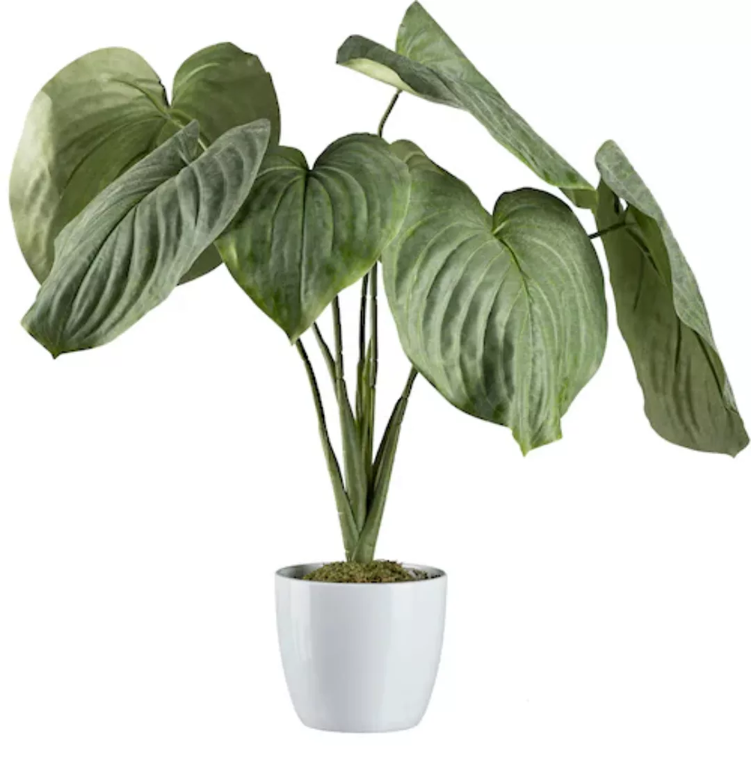 Creativ green Künstliche Zimmerpflanze »Hosta-Busch im Keramiktopf« günstig online kaufen