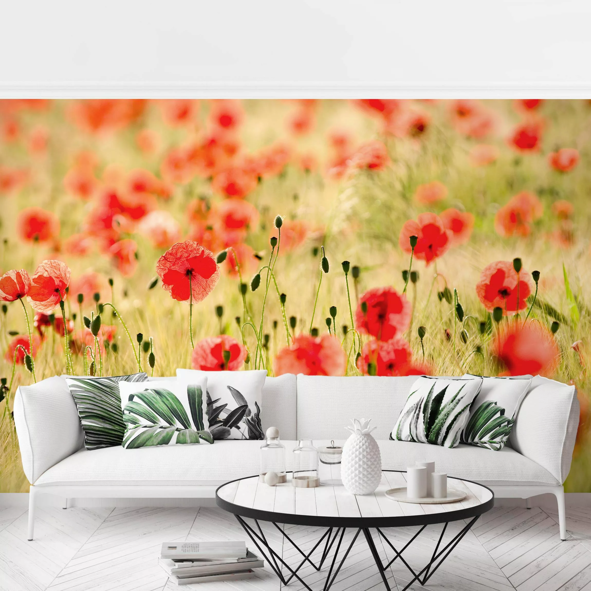 Fototapete Summer Poppies günstig online kaufen