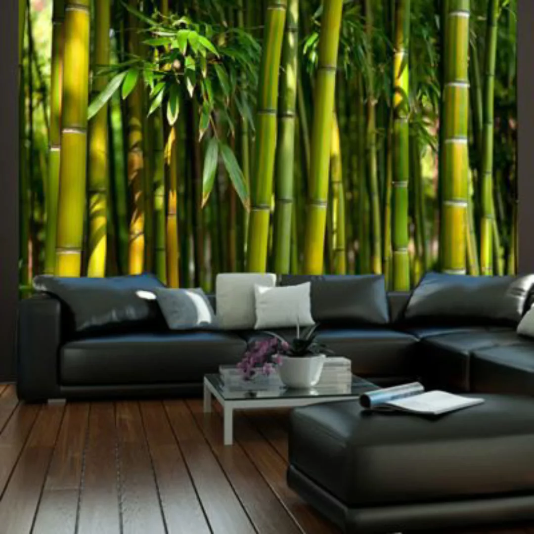 artgeist Fototapete Asiatischer Bambuswald grün Gr. 300 x 231 günstig online kaufen