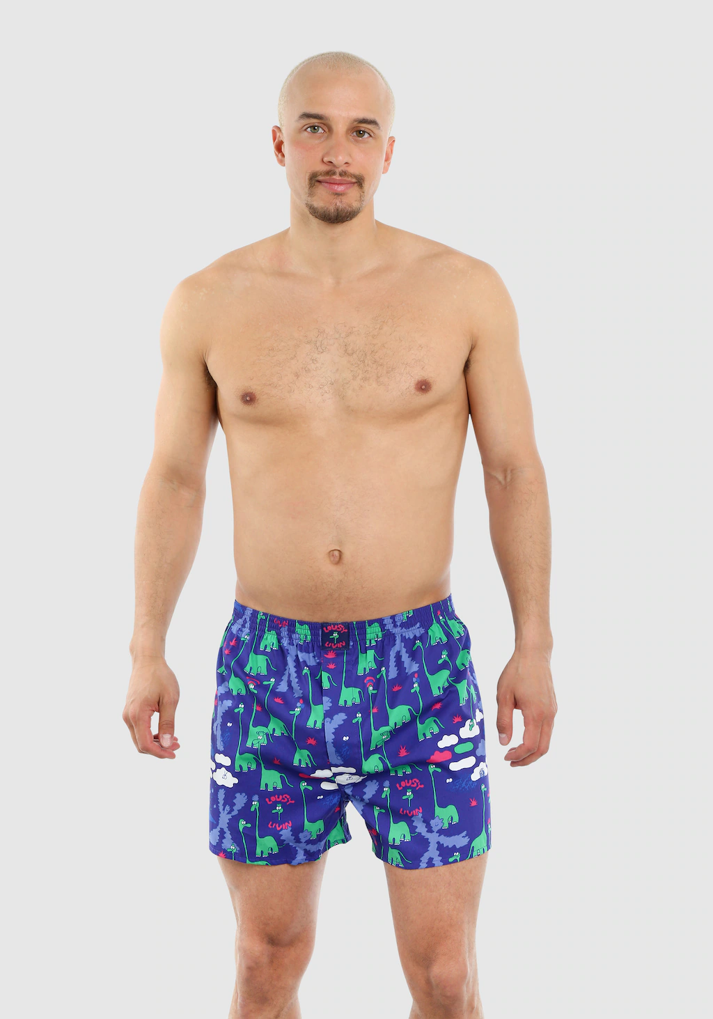 Lousy Livin Boxershorts "Dinos 2Pack", (2 St.), im praktischen 2er-Pack günstig online kaufen