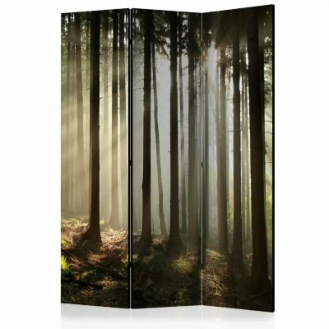 artgeist Paravent Coniferous forest [Room Dividers] grau-kombi Gr. 135 x 17 günstig online kaufen