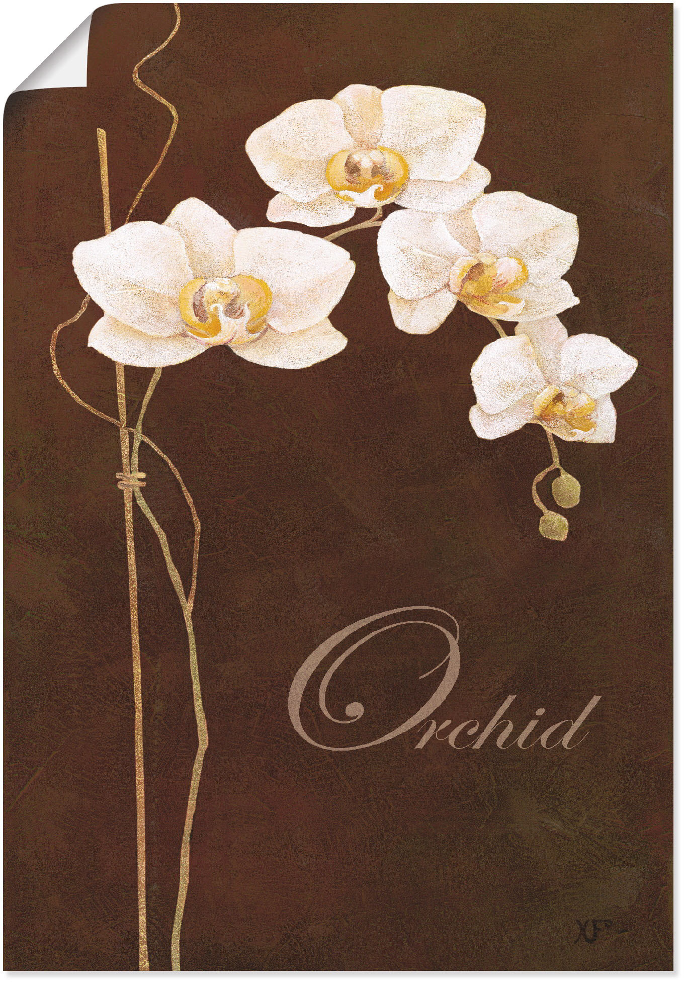 Artland Wandbild "Zarte Orchidee", Blumen, (1 St.), als Leinwandbild, Poste günstig online kaufen