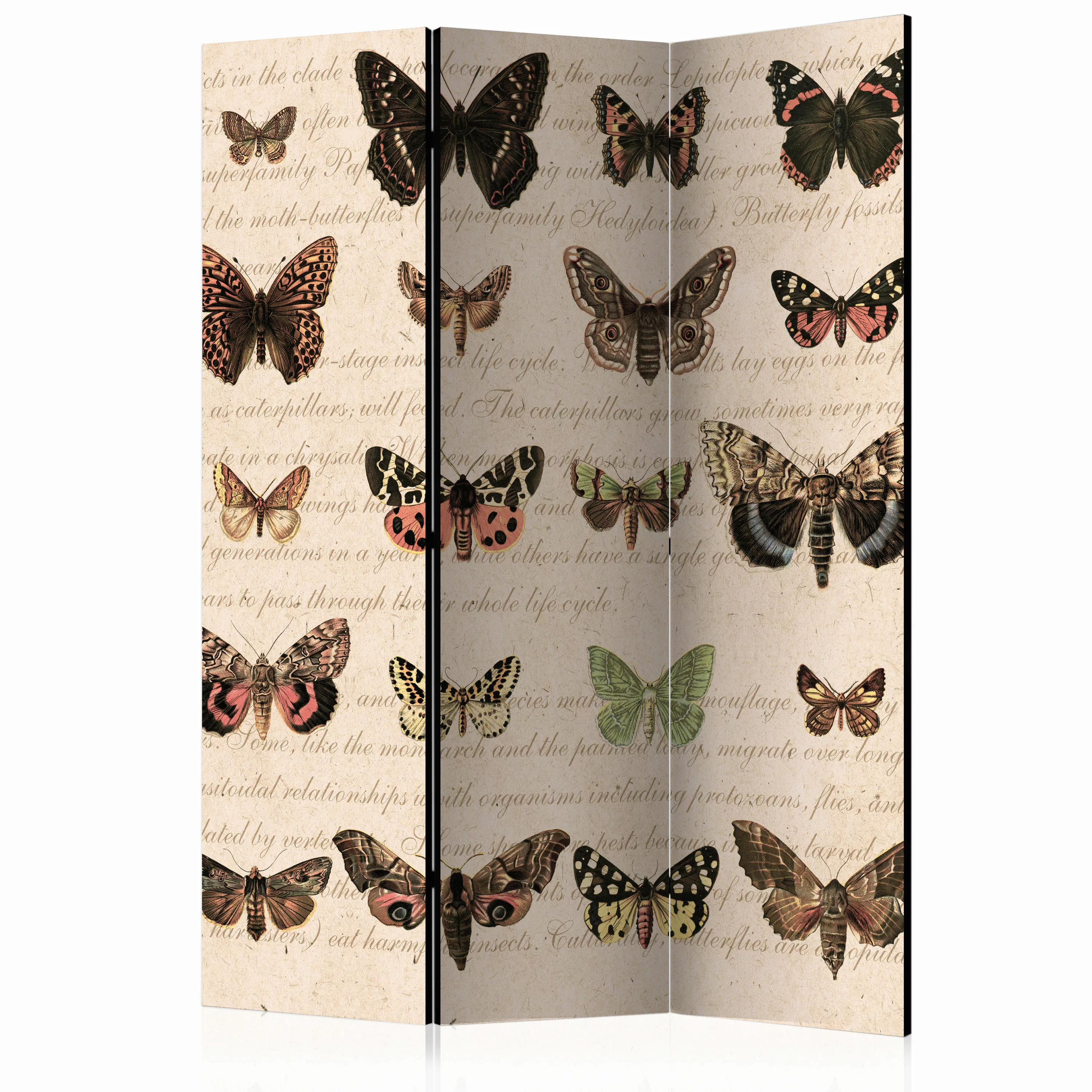3-teiliges Paravent - Retro Style: Butterflies [room Dividers] günstig online kaufen