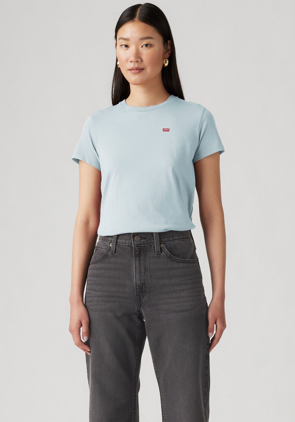 Levis T-Shirt "Mini-Logo", (Packung, 2 tlg.), mit kleiner Markenlogo-Sticke günstig online kaufen
