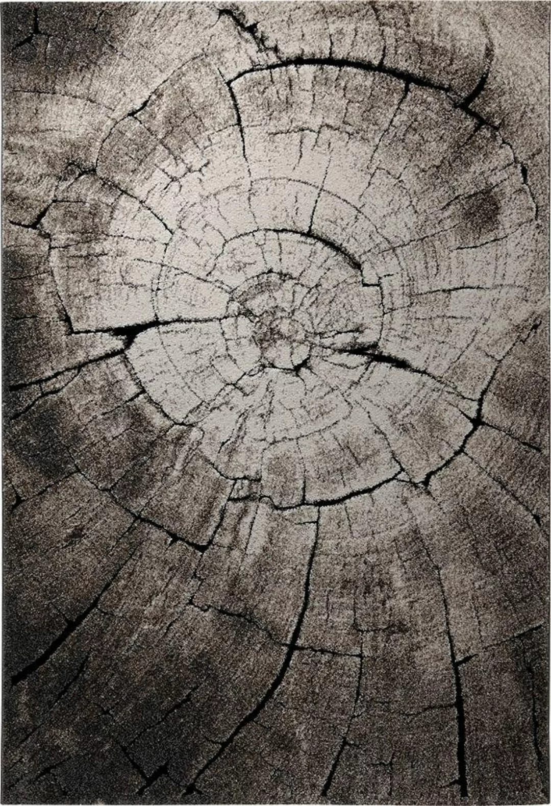 Wecon home Teppich »Wild Oak«, rechteckig, Holz Optik, Wohnzimmer günstig online kaufen