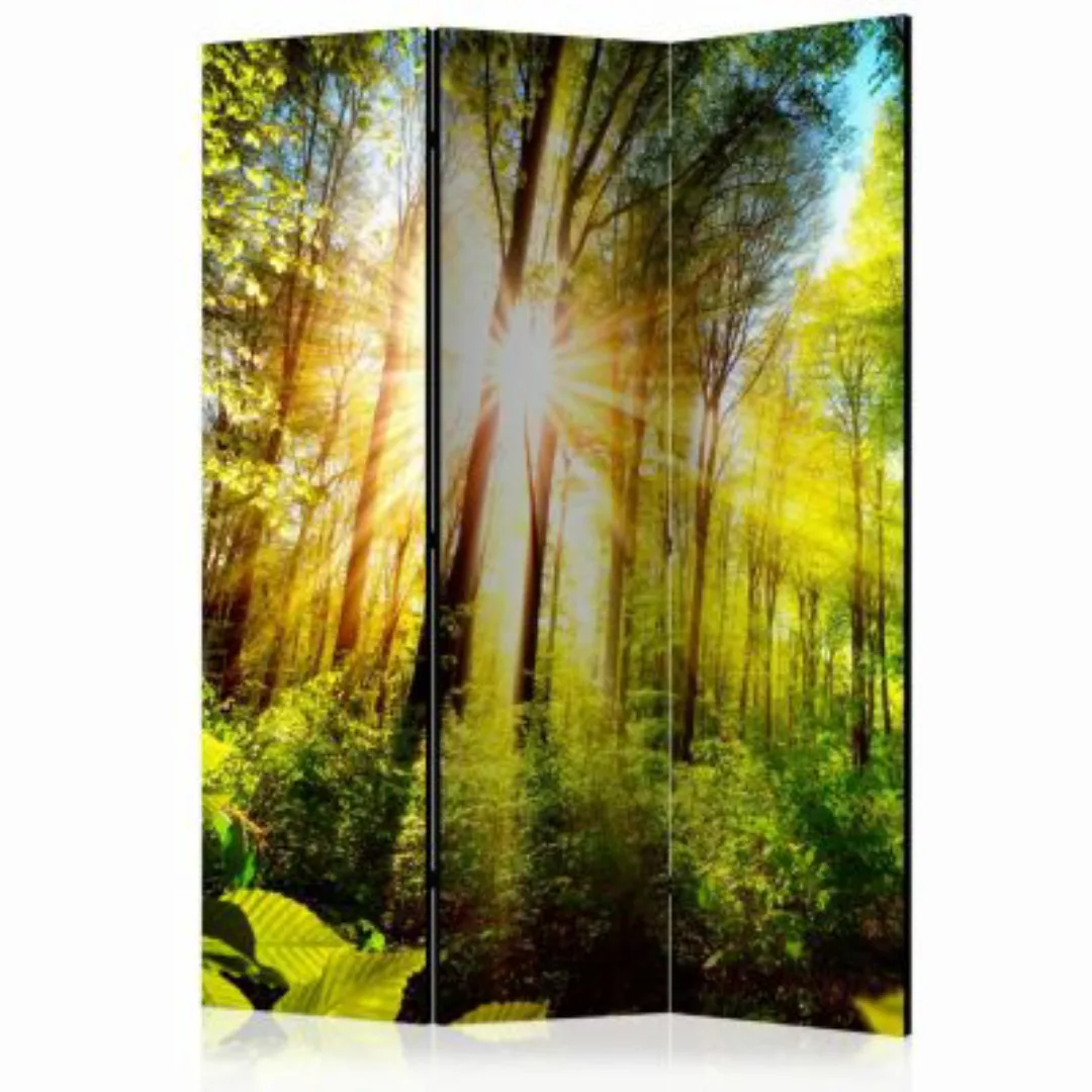 artgeist Paravent Forest Hideout [Room Dividers] mehrfarbig Gr. 135 x 172 günstig online kaufen