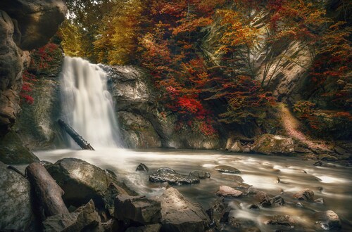 Papermoon Fototapete »WASSERFALL-HERBST WALD MEER FLUSS INSEL STEINE BÄUME« günstig online kaufen