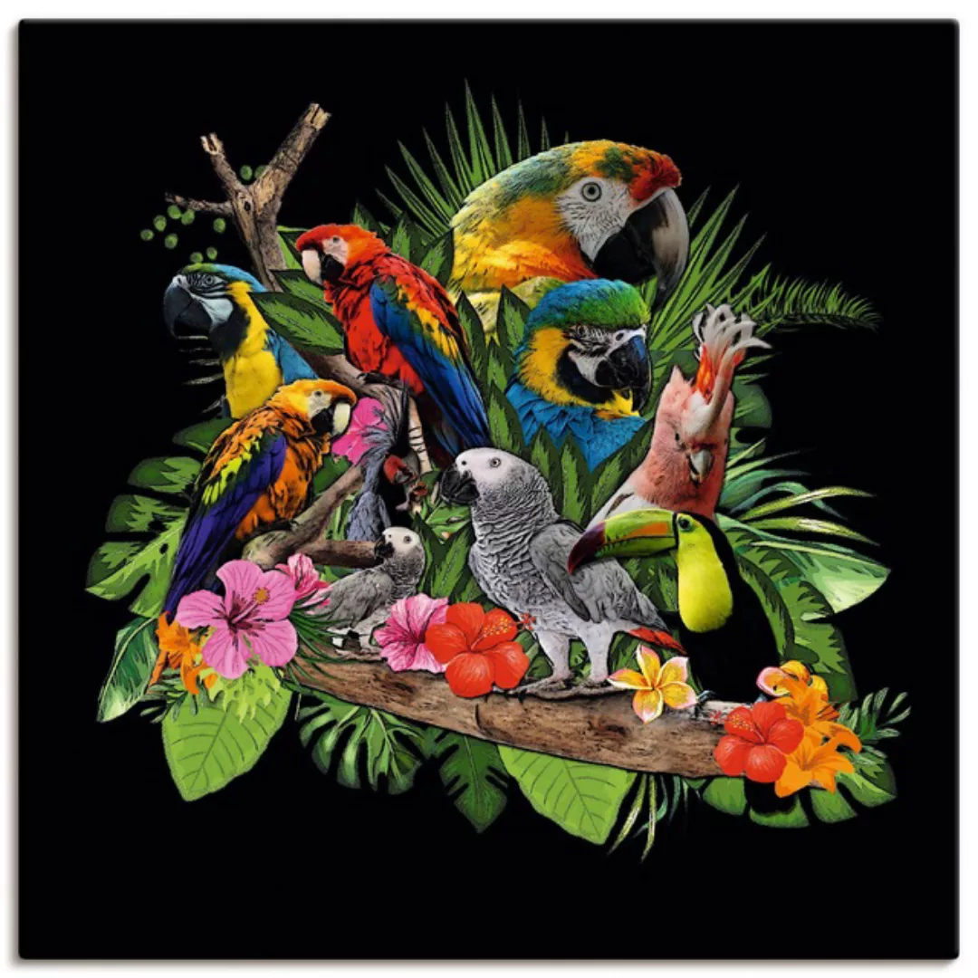 Artland Wandbild »Papageien Graupapagei Kakadu Dschungel«, Vögel, (1 St.), günstig online kaufen