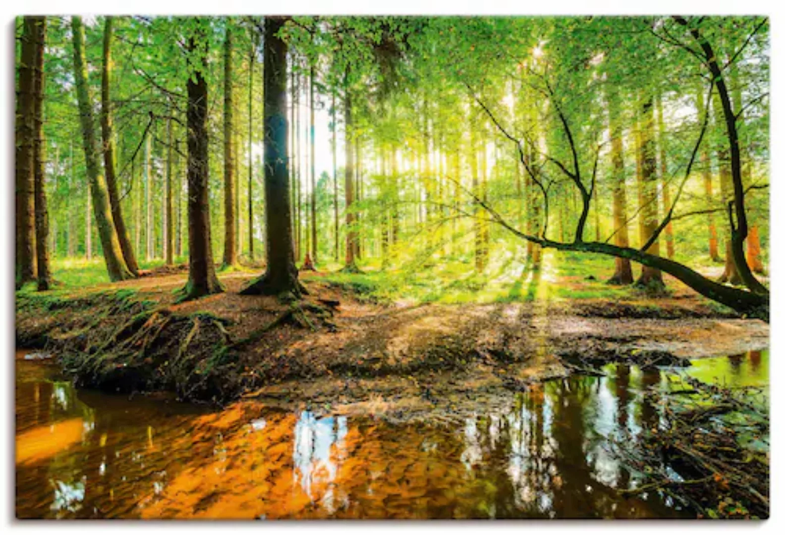 Artland Wandbild »Wald mit Bach«, Wald, (1 St.), als Alubild, Outdoorbild, günstig online kaufen