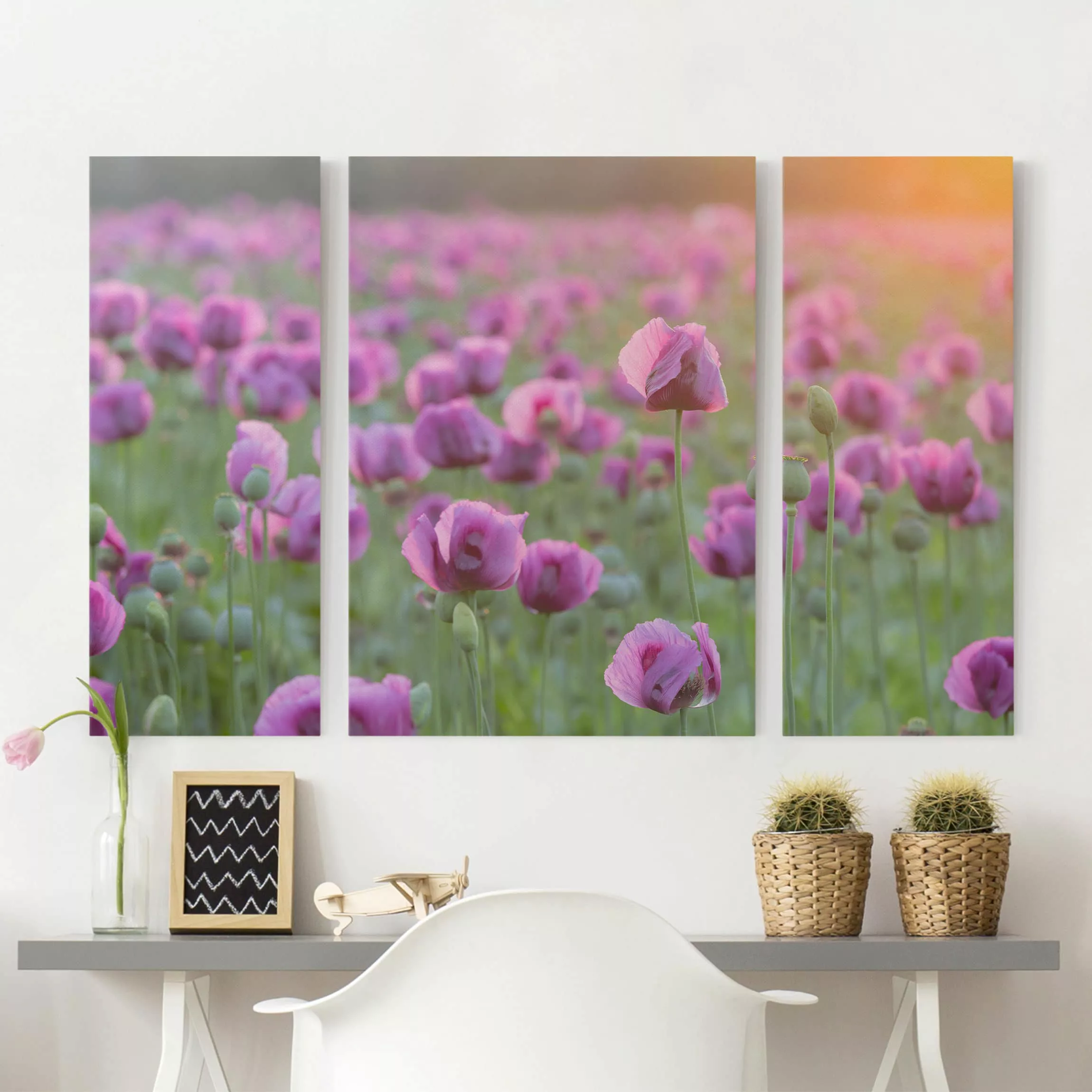 3-teiliges Leinwandbild Blumen - Querformat Violette Schlafmohn Blumenwiese günstig online kaufen