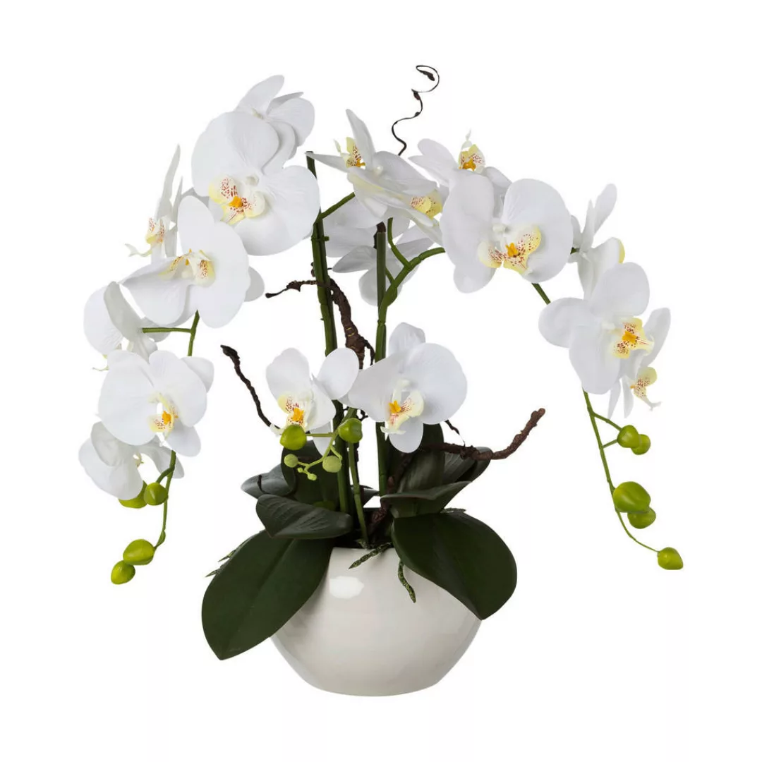 Kunstpflanze Orchideen-Arrangement weiß Kunststoff B/H/L: ca. 27x50x27 cm günstig online kaufen