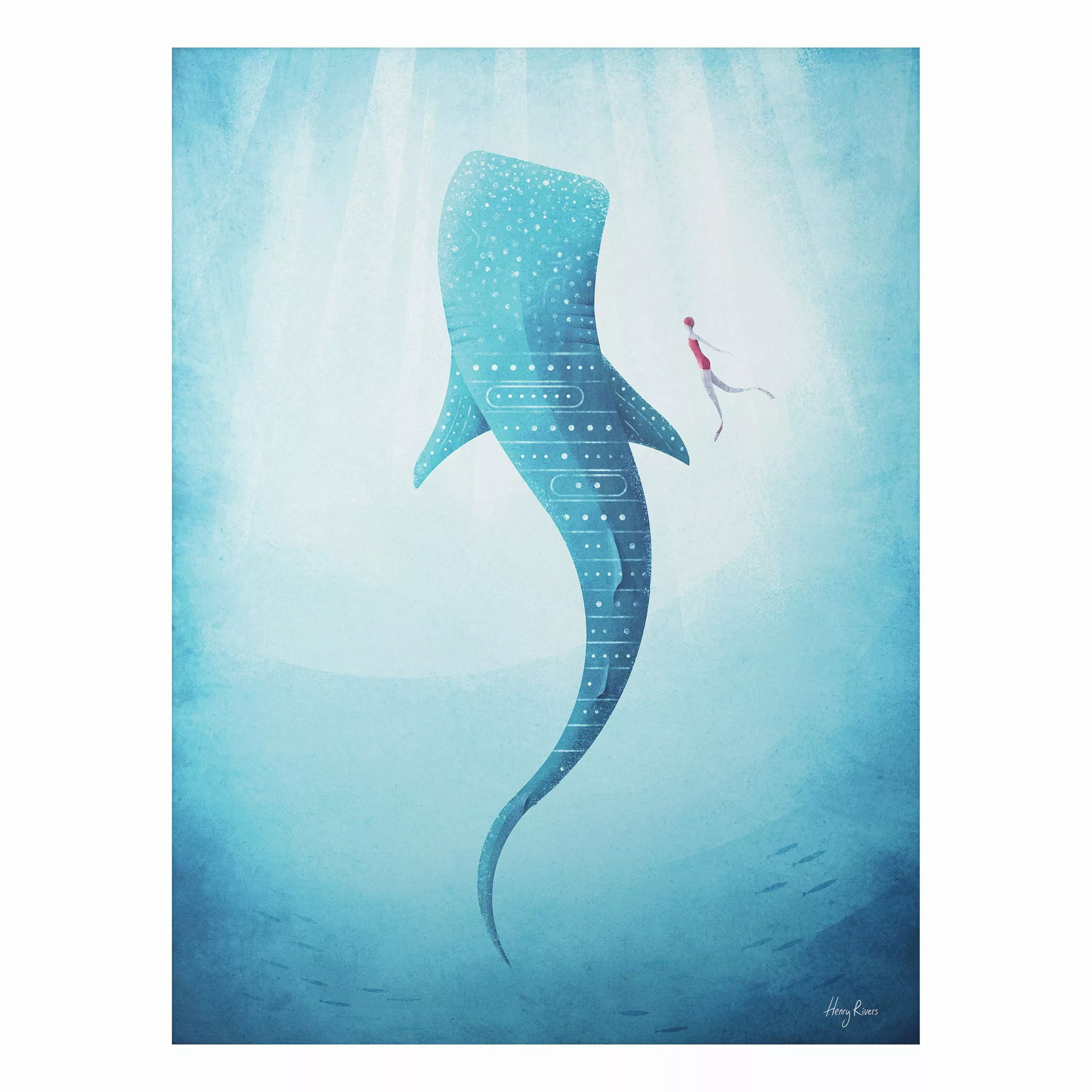 Alu-Dibond Bild Kunstdruck - Hochformat 3:4 Der Walhai günstig online kaufen