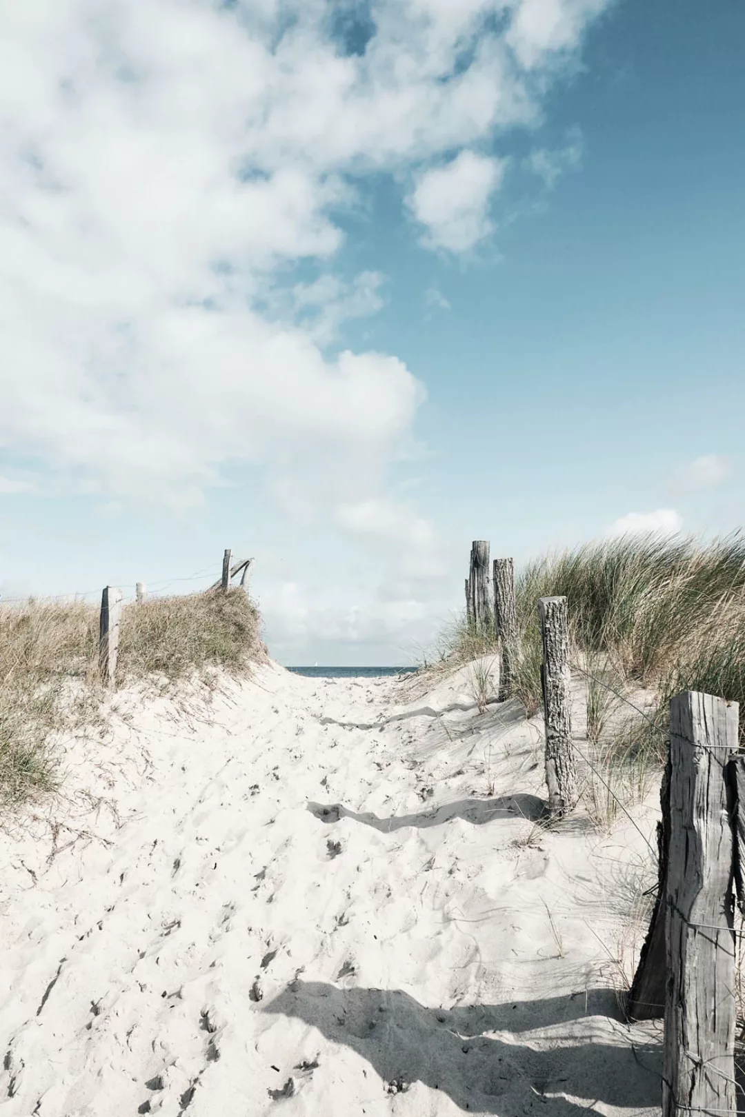 queence Acrylglasbild "Exeter", Strand-Himmel-Düne-Deutschland-Gräser-Meer- günstig online kaufen