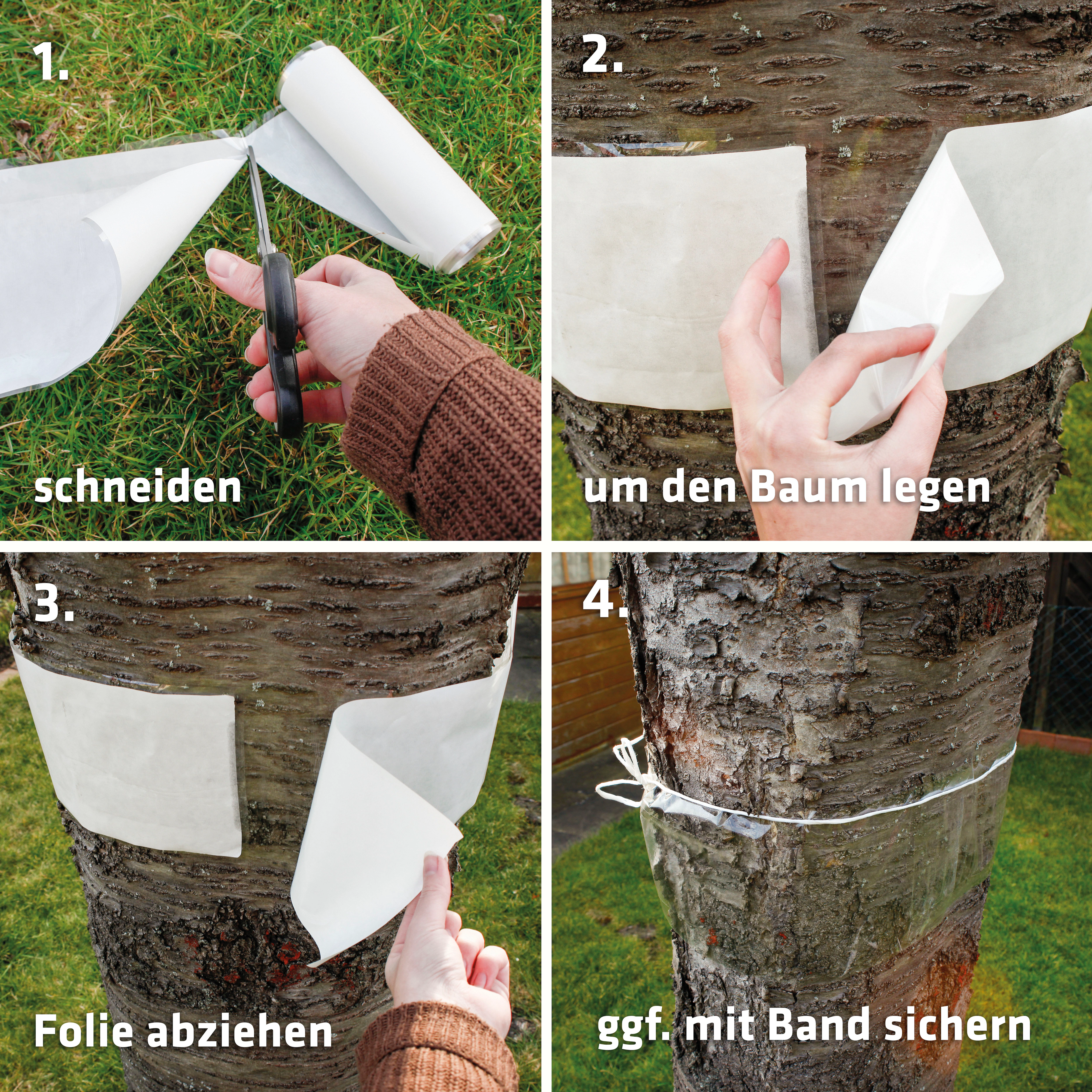 Gardigo Klebefalle "Baum-Leimring", 5m 2er Set günstig online kaufen
