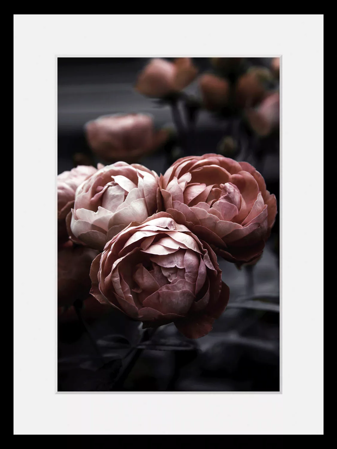 queence Bild "Helen", Blumen, (1 St.) günstig online kaufen