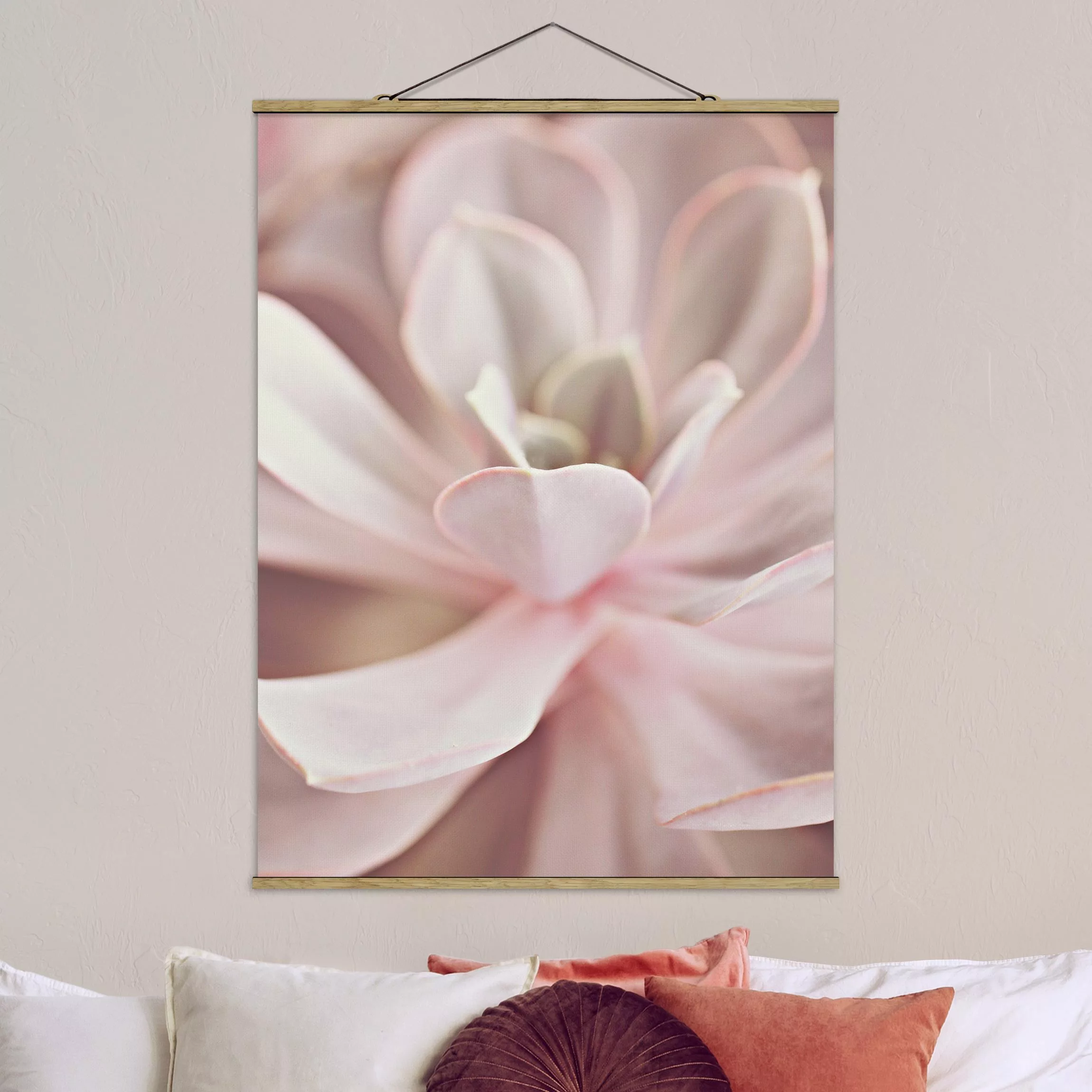 Stoffbild mit Posterleisten Rosane Sukkulentenblüte günstig online kaufen