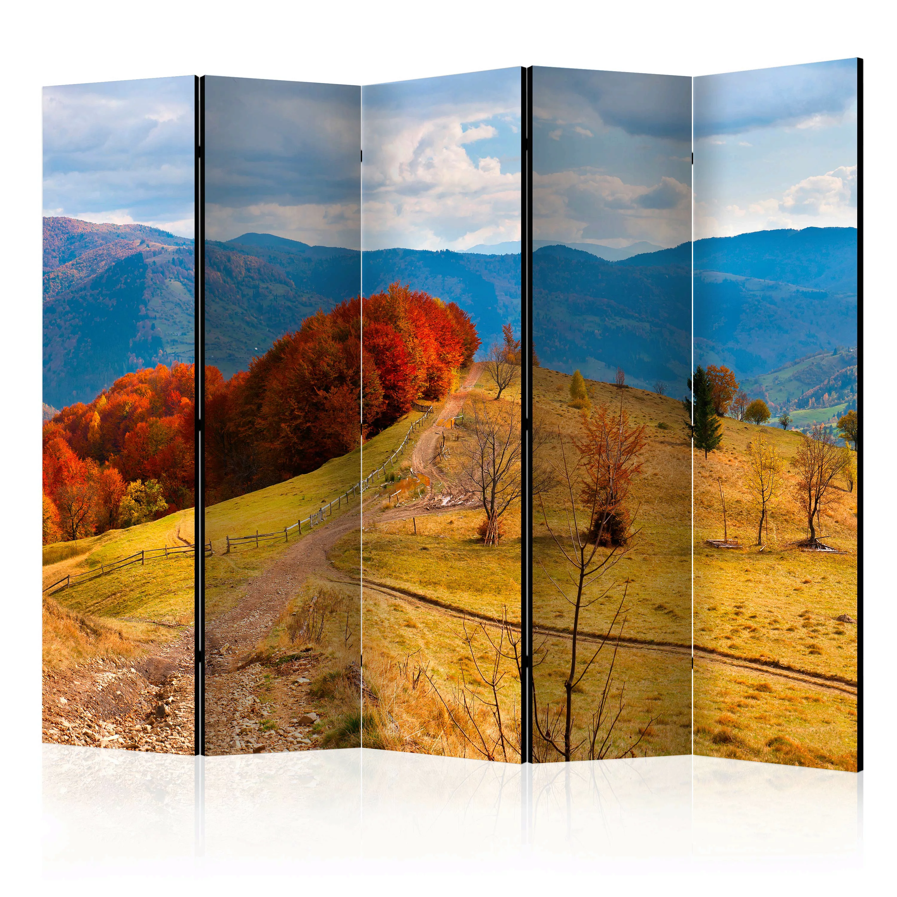 5-teiliges Paravent - Autumn Landscape In The Carpathian Mountains Ii [room günstig online kaufen