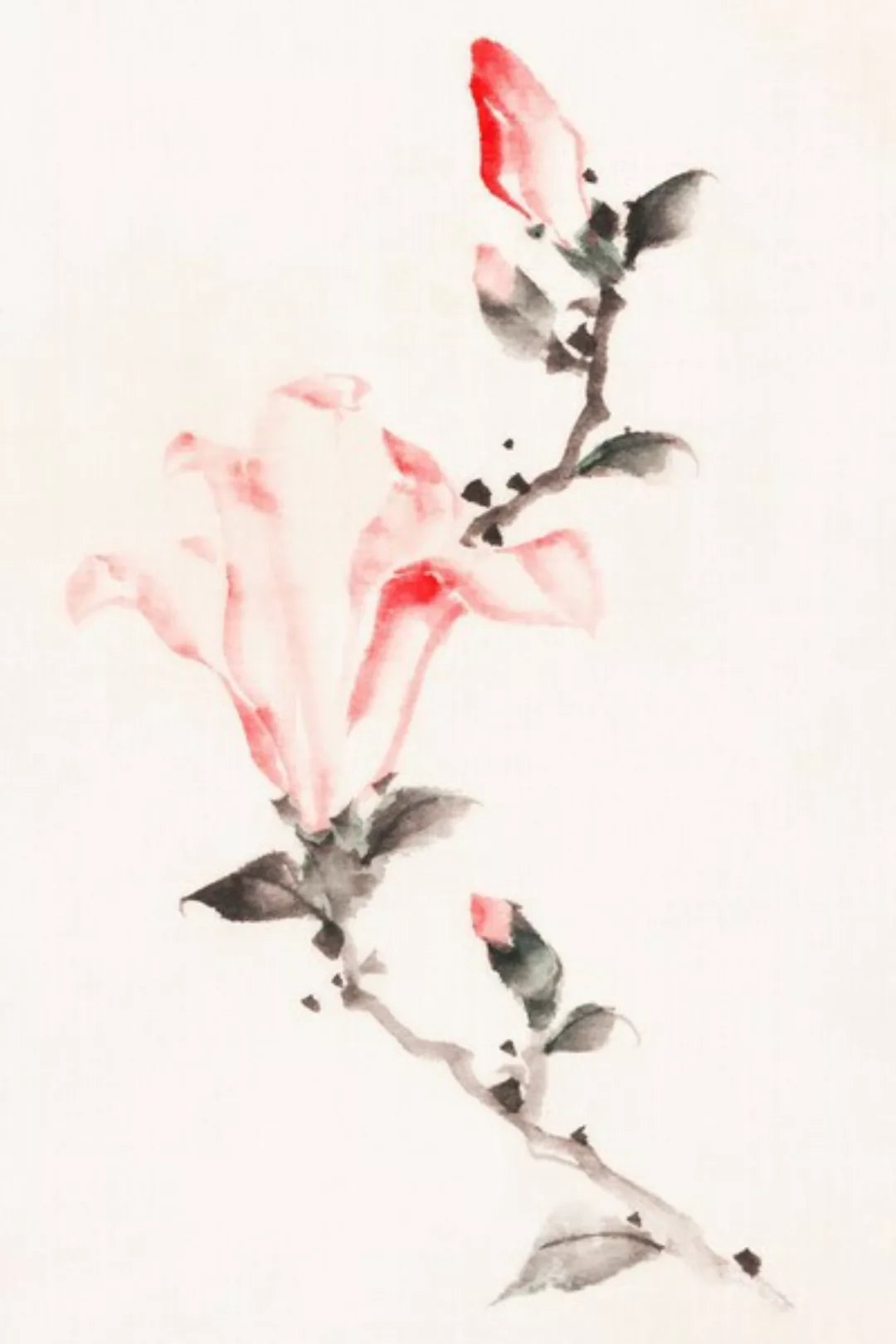 Poster / Leinwandbild - Large Pink Blossom On a Stem By Katsushika Hokusai günstig online kaufen