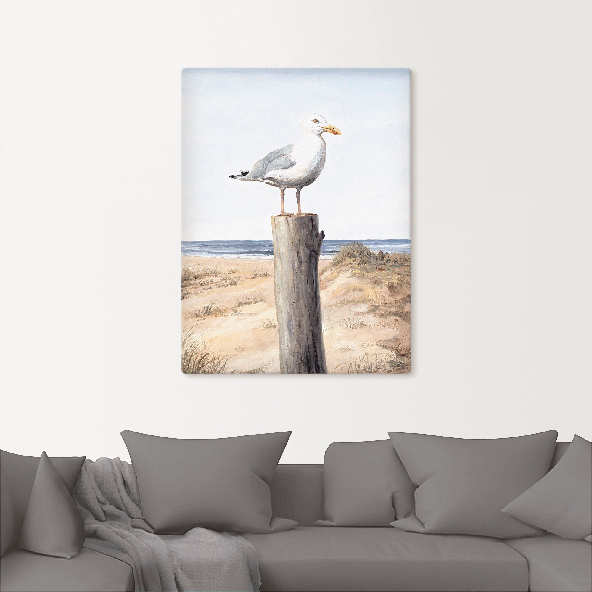 Artland Wandbild Möwe, Vögel (1 St), günstig online kaufen