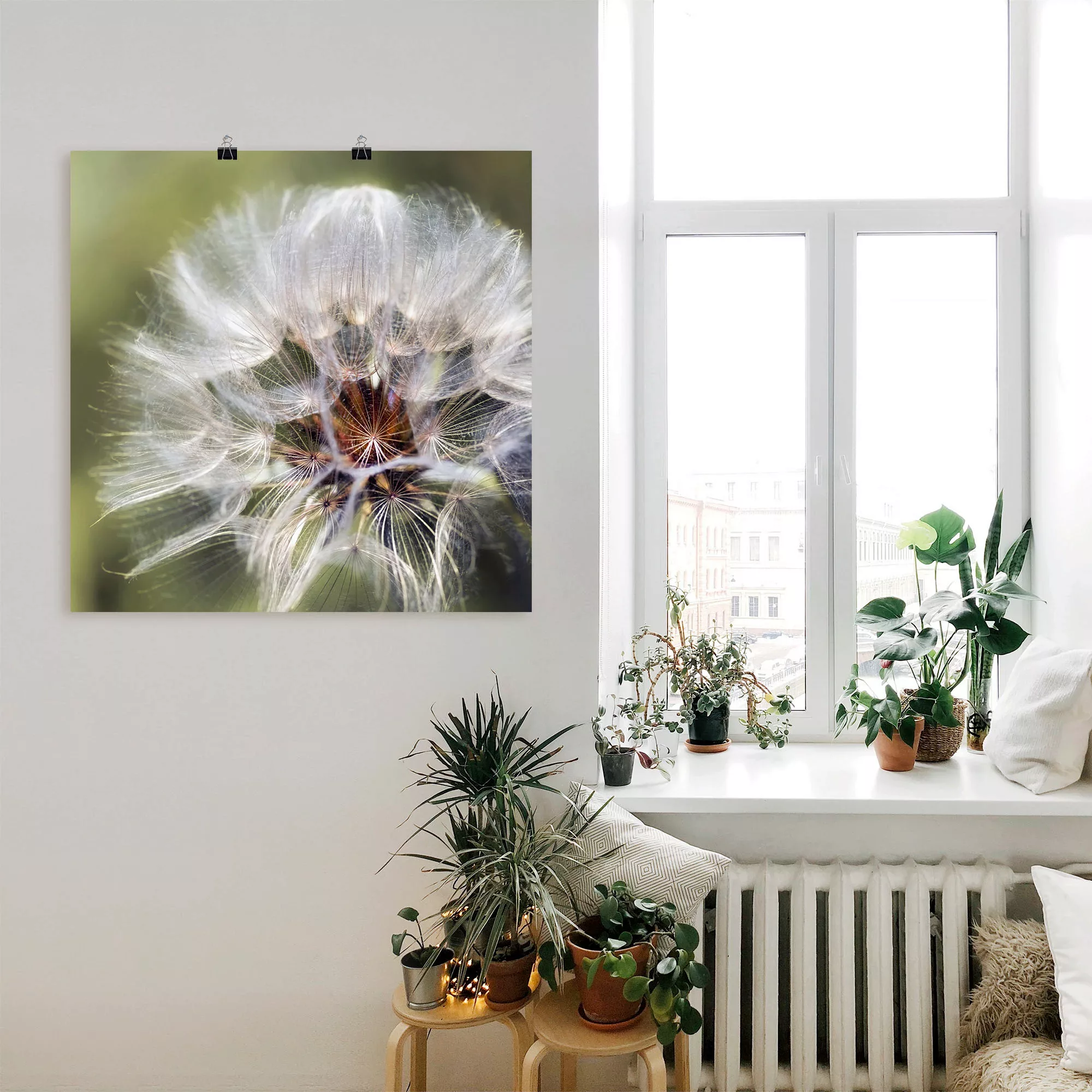 Artland Wandbild »Pusteblume II«, Blumen, (1 St.) günstig online kaufen