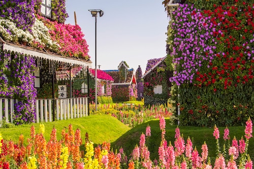 Papermoon Fototapete »BLUMENSTRAßE-WUNDERGARTEN PARK DUBAI HÄUSER PFLANZ« günstig online kaufen