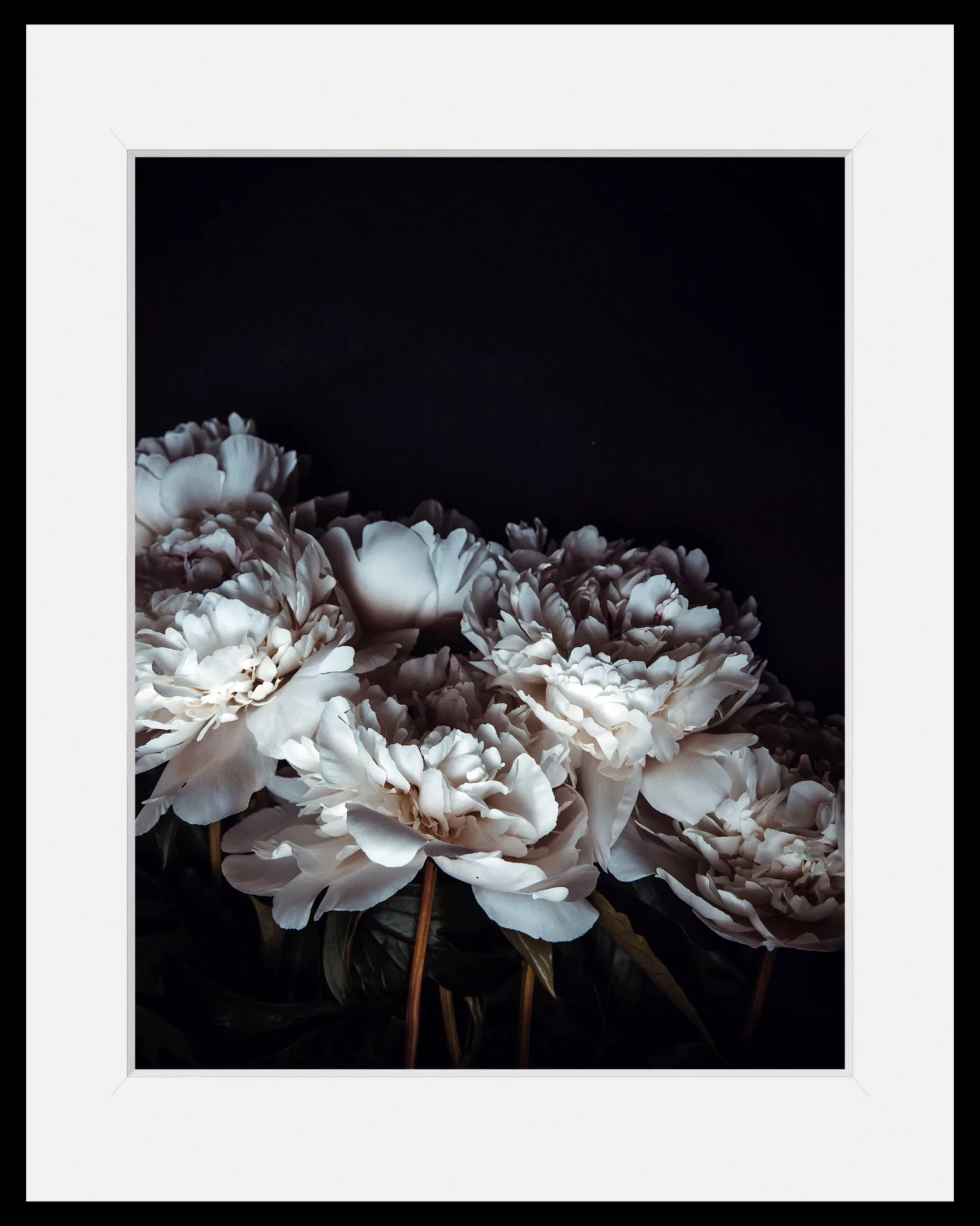 queence Bild "Ella", Blumen, (1 St.) günstig online kaufen