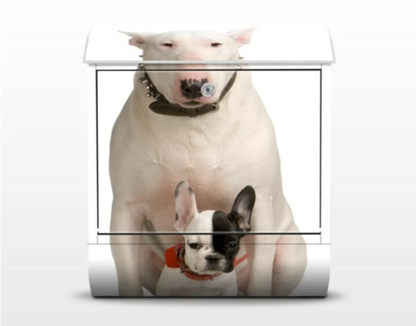 Briefkasten Tiere Bull Terrier And Friend günstig online kaufen