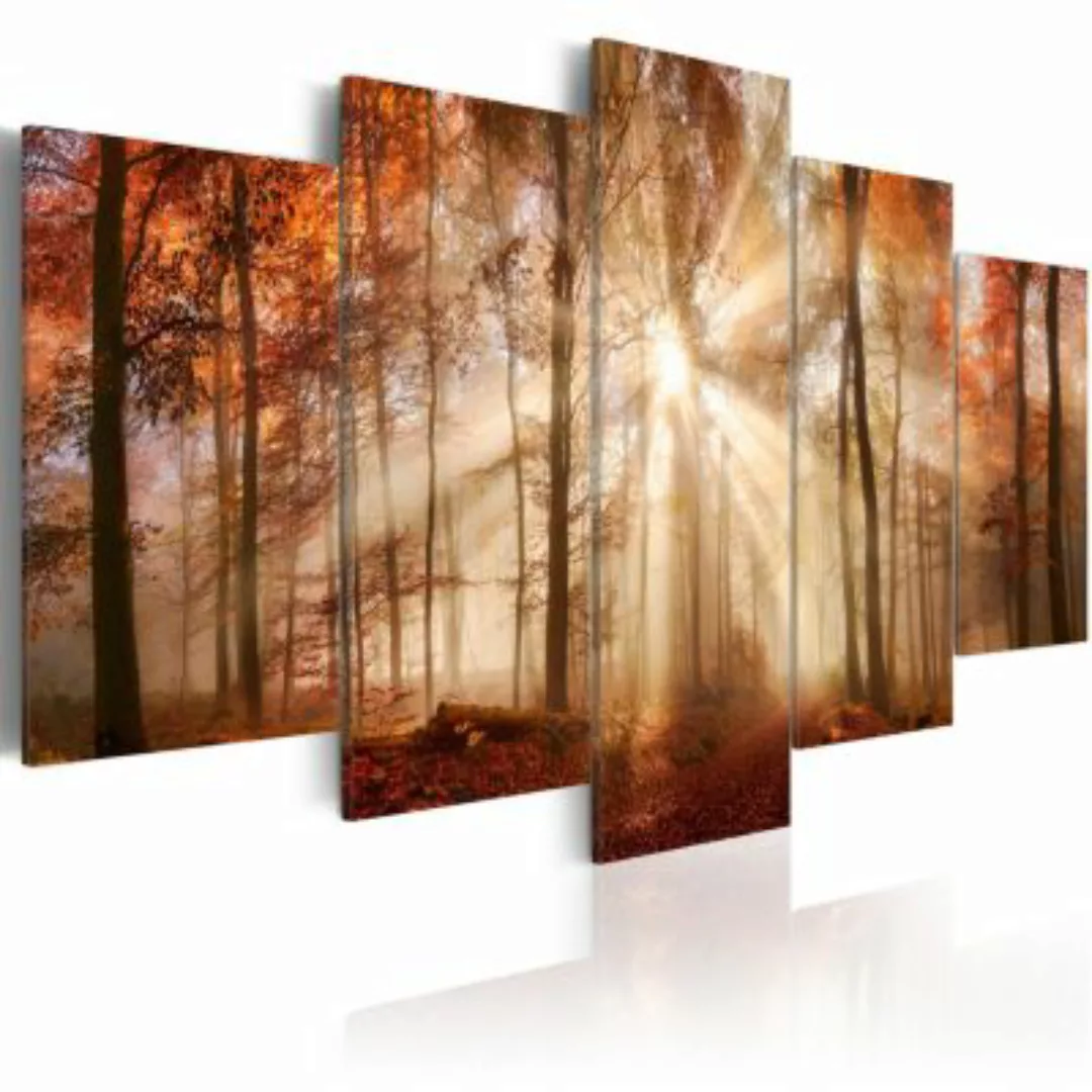 artgeist Wandbild Forest Fog mehrfarbig Gr. 200 x 100 günstig online kaufen