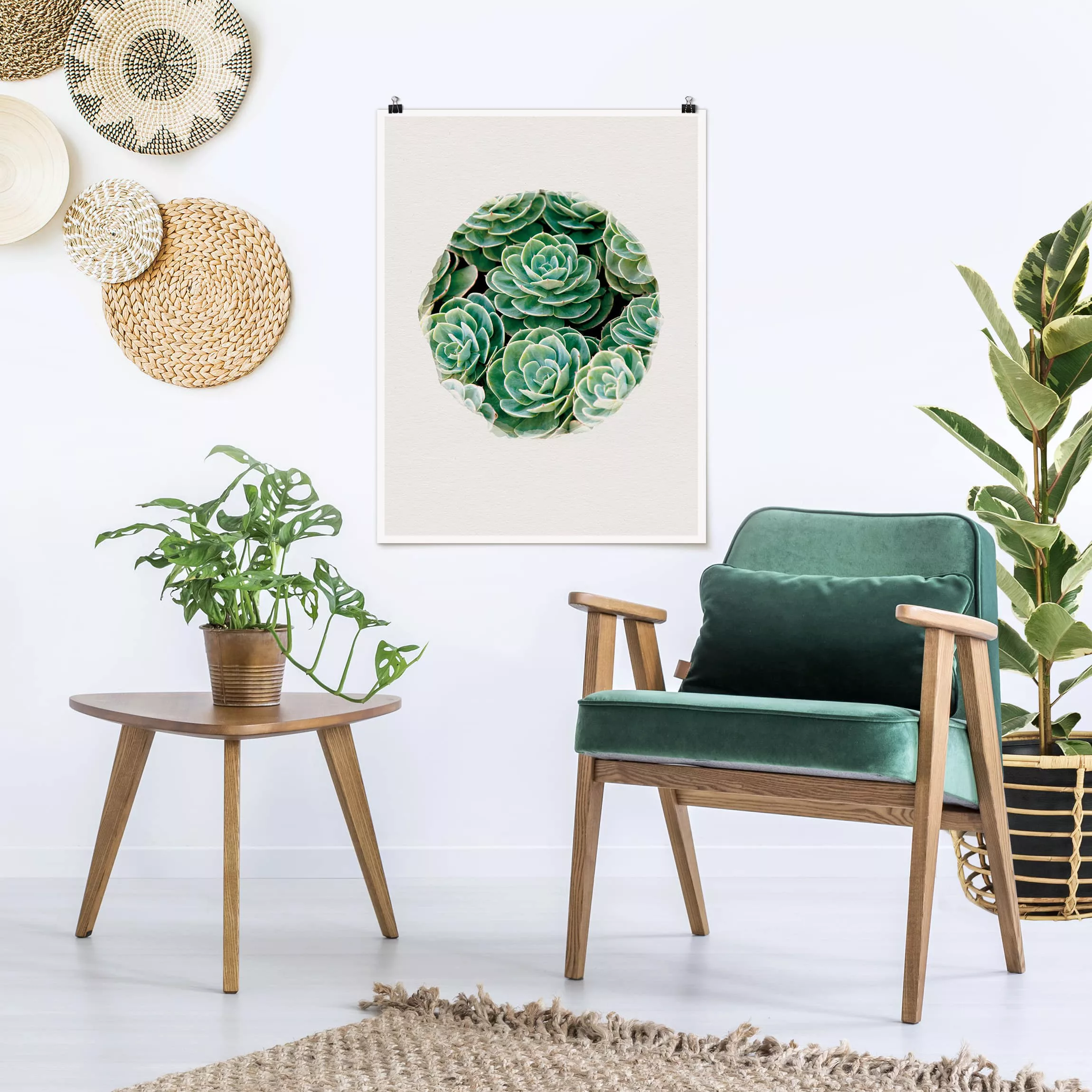 Poster Blumen - Hochformat Wasserfarben - Grüne Sukkulenten günstig online kaufen