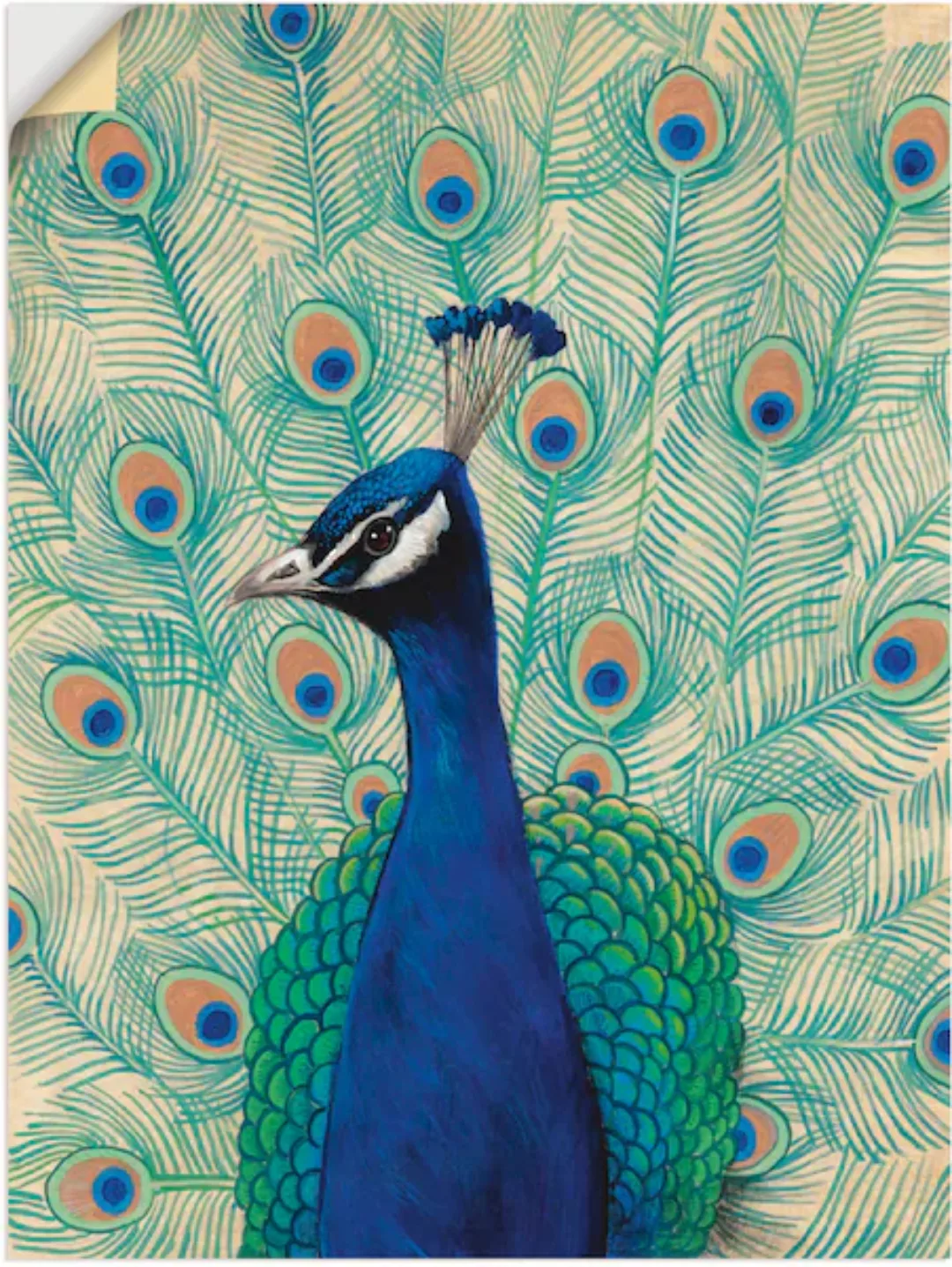 Artland Wandfolie »Blauer Pfau II«, Vögel, (1 St.), selbstklebend günstig online kaufen