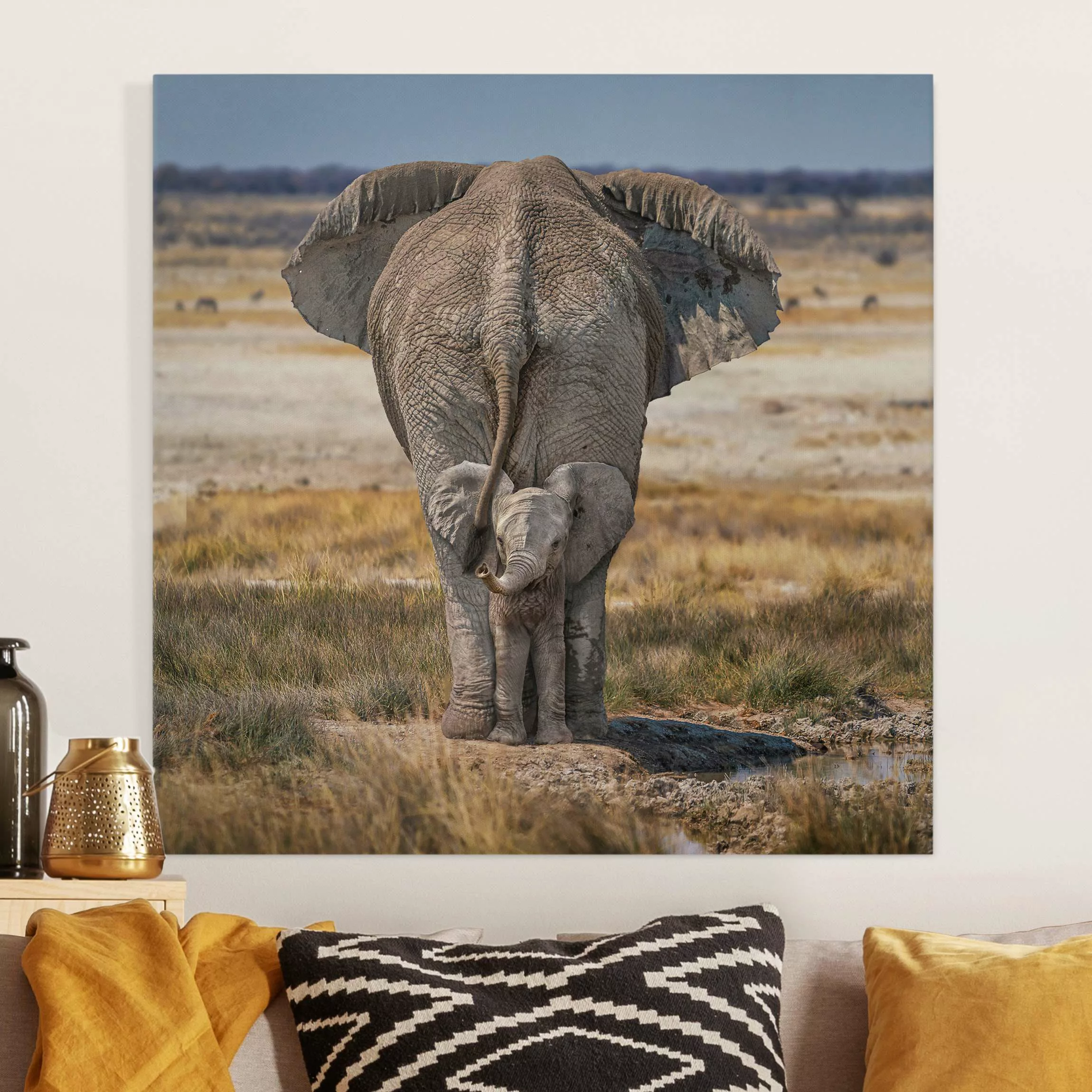 Leinwandbild Frecher Elefant günstig online kaufen