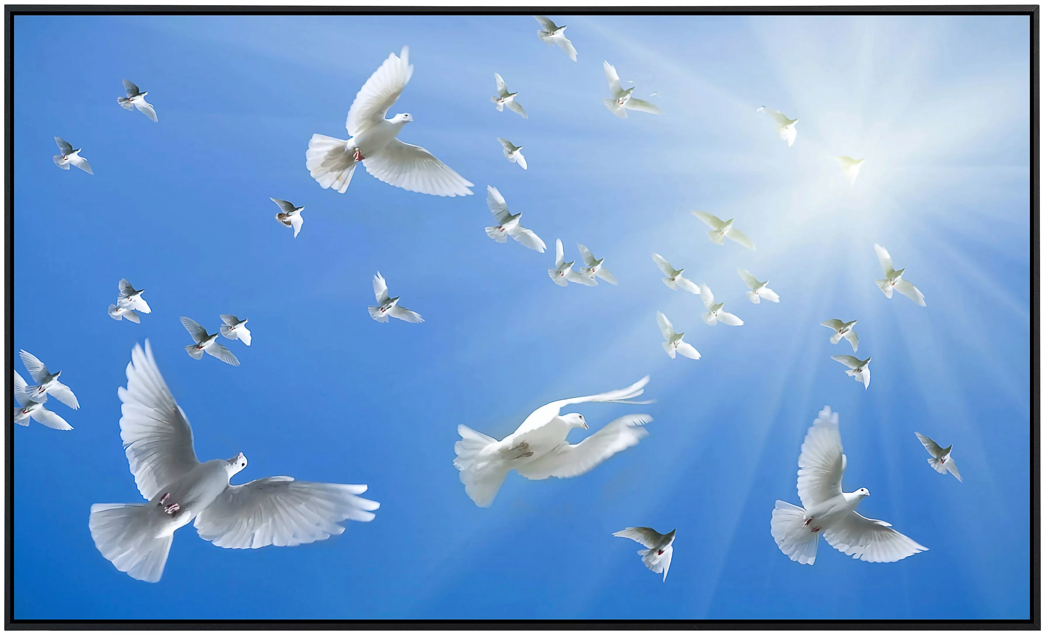 Papermoon Infrarotheizung »Weiße Tauben«, sehr angenehme Strahlungswärme günstig online kaufen