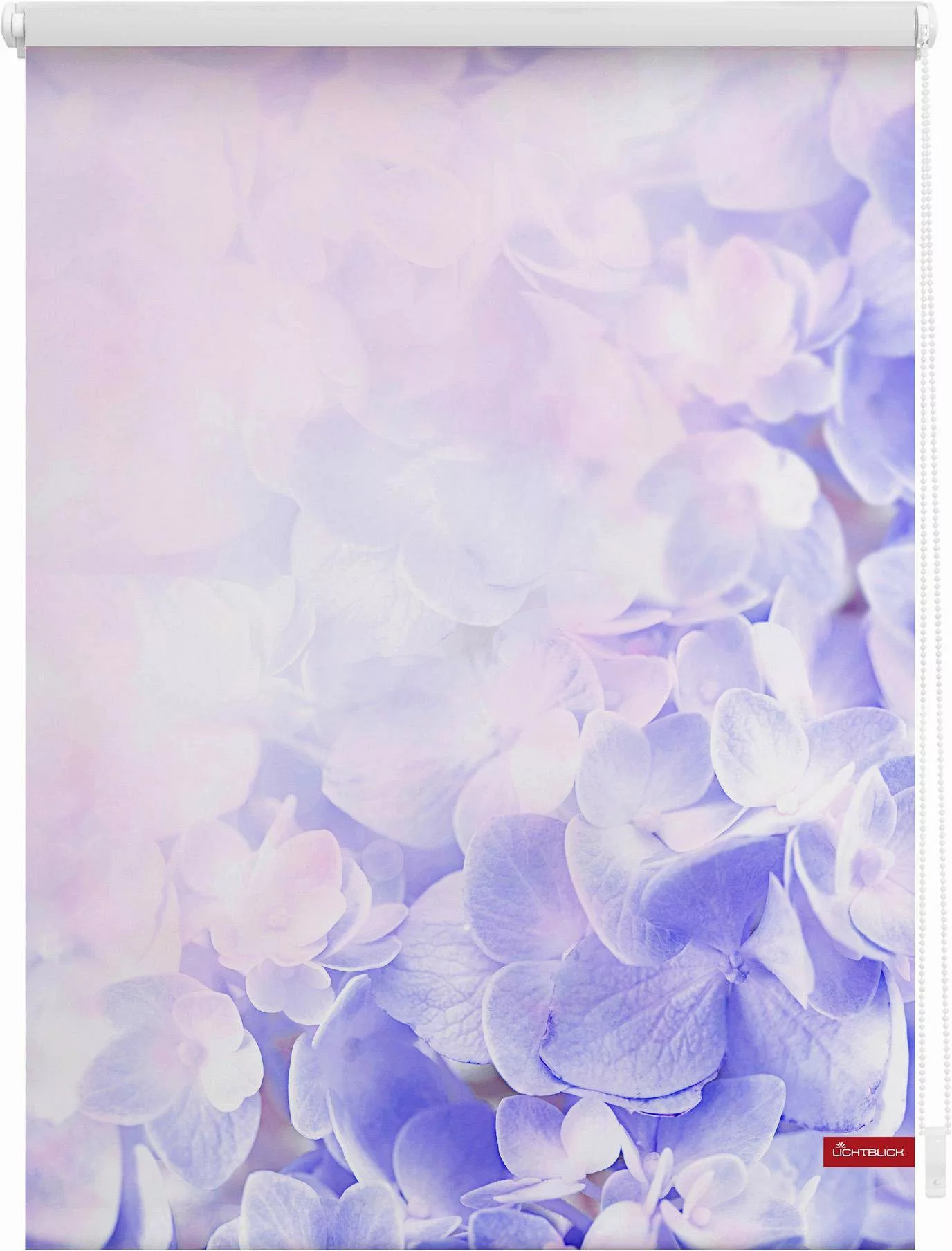 Seitenzugrollo Klemmfix Motiv Hortensie, LICHTBLICK ORIGINAL, günstig online kaufen