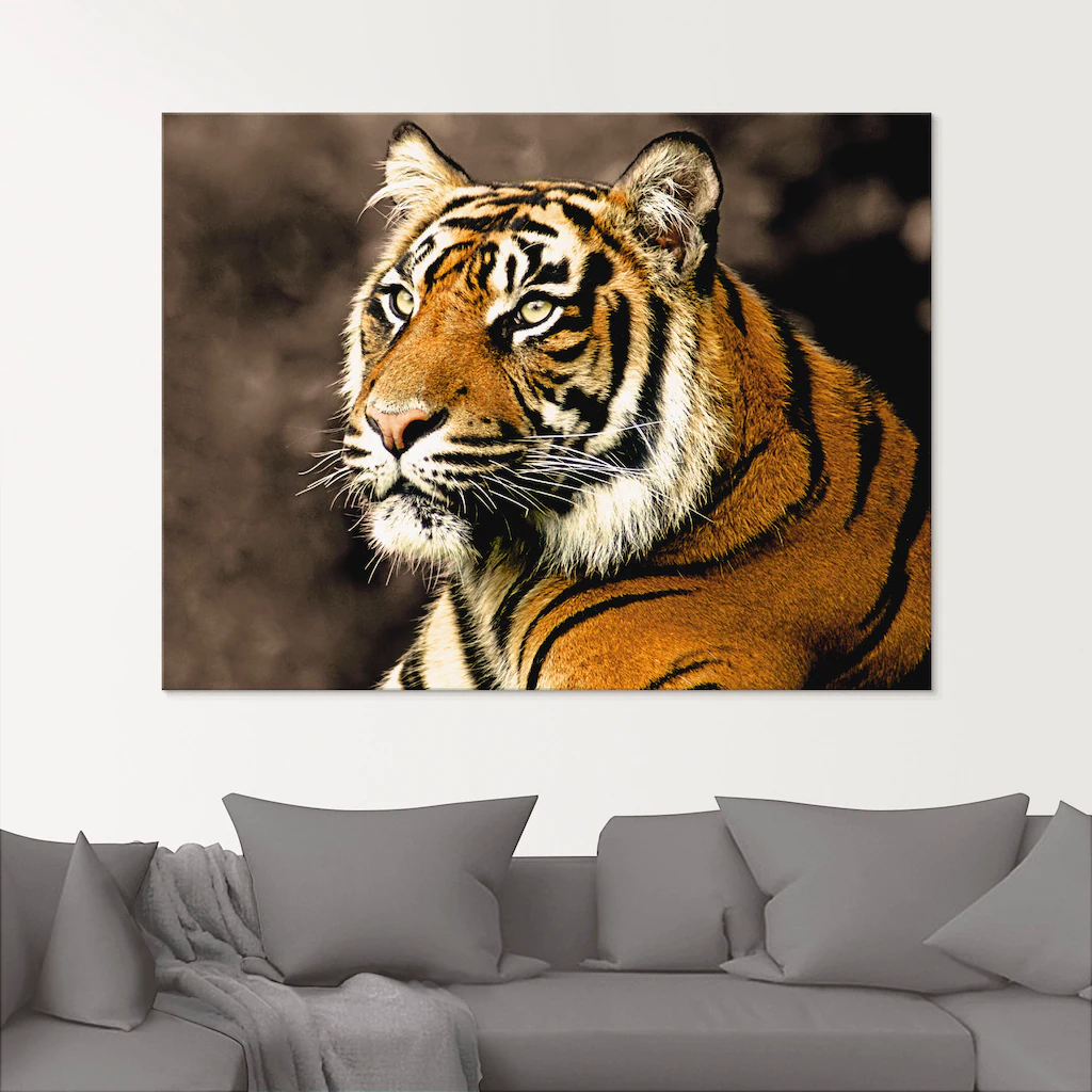 Artland Glasbild »Tiger_sepia«, Wildtiere, (1 St.), in verschiedenen Größen günstig online kaufen