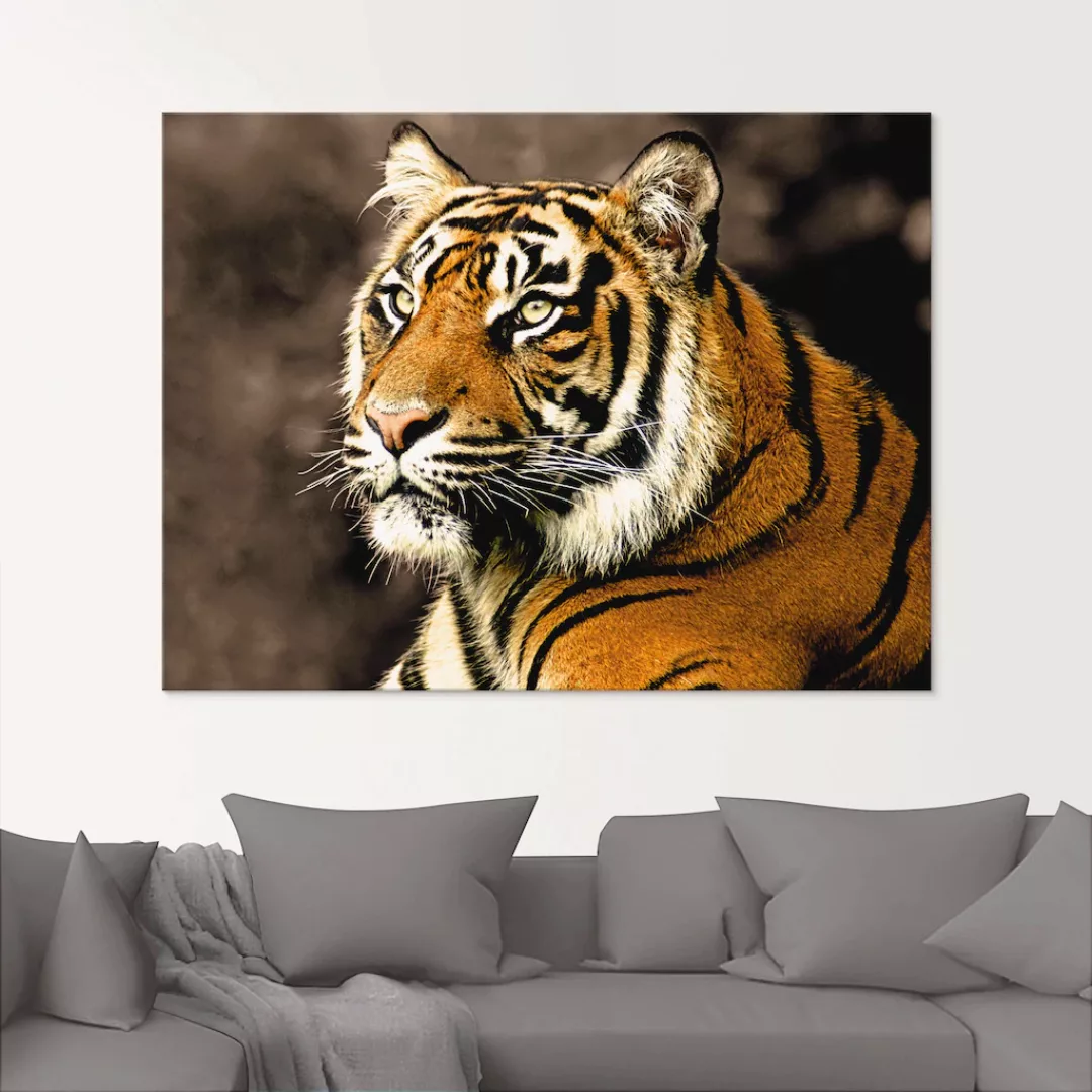 Artland Glasbild »Tiger_sepia«, Wildtiere, (1 St.), in verschiedenen Größen günstig online kaufen