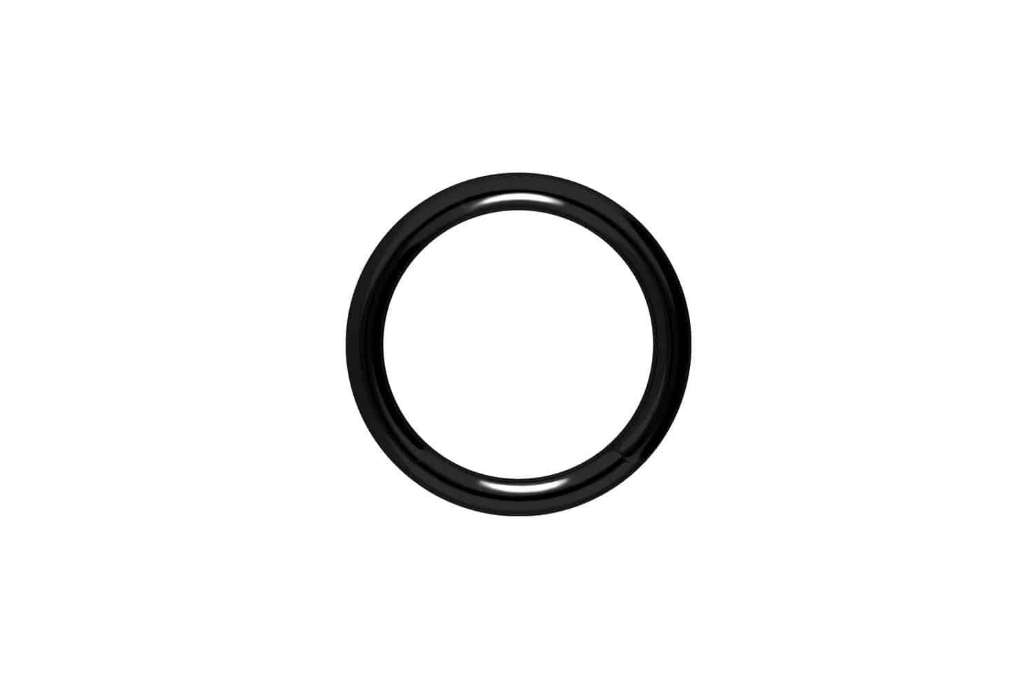 PIERCINGLINE Nasenpiercing Chirurgenstahl Segmentring (Klemm-Ringe / günstig online kaufen