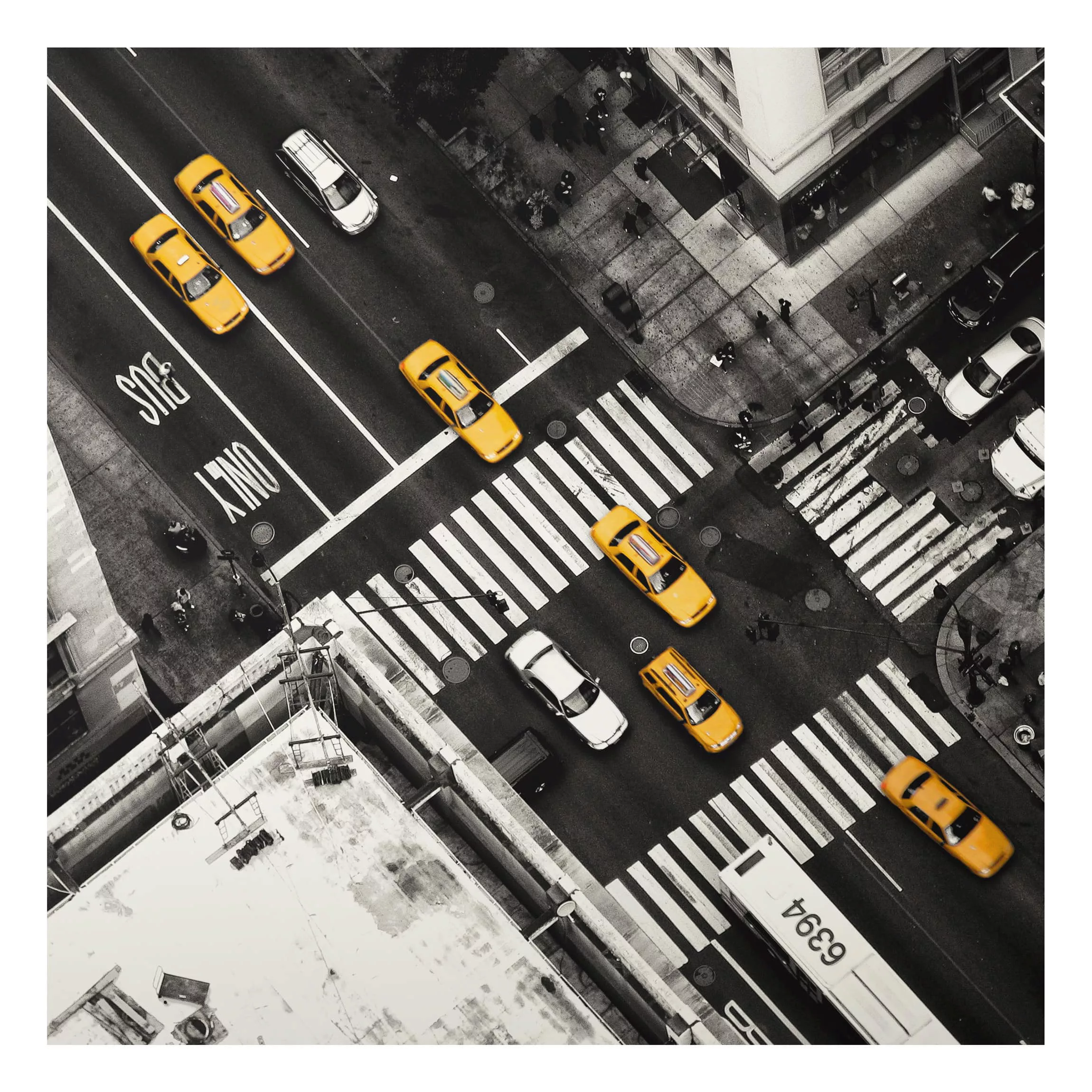 Alu-Dibond Bild Schwarz-Weiß - Quadrat New York City Cabs günstig online kaufen