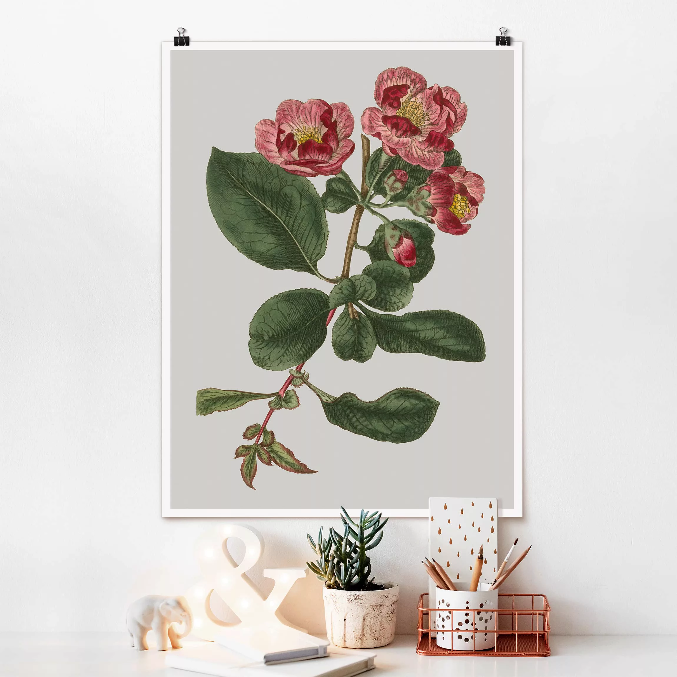 Poster Blumen - Hochformat Florale Schmuckstücke I günstig online kaufen