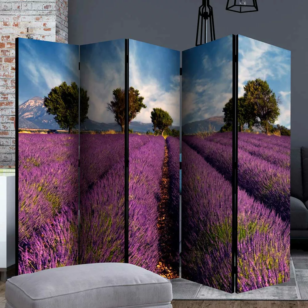 Sichtschutz Indoor im Landhausstil Lavendelfeld Motiv günstig online kaufen