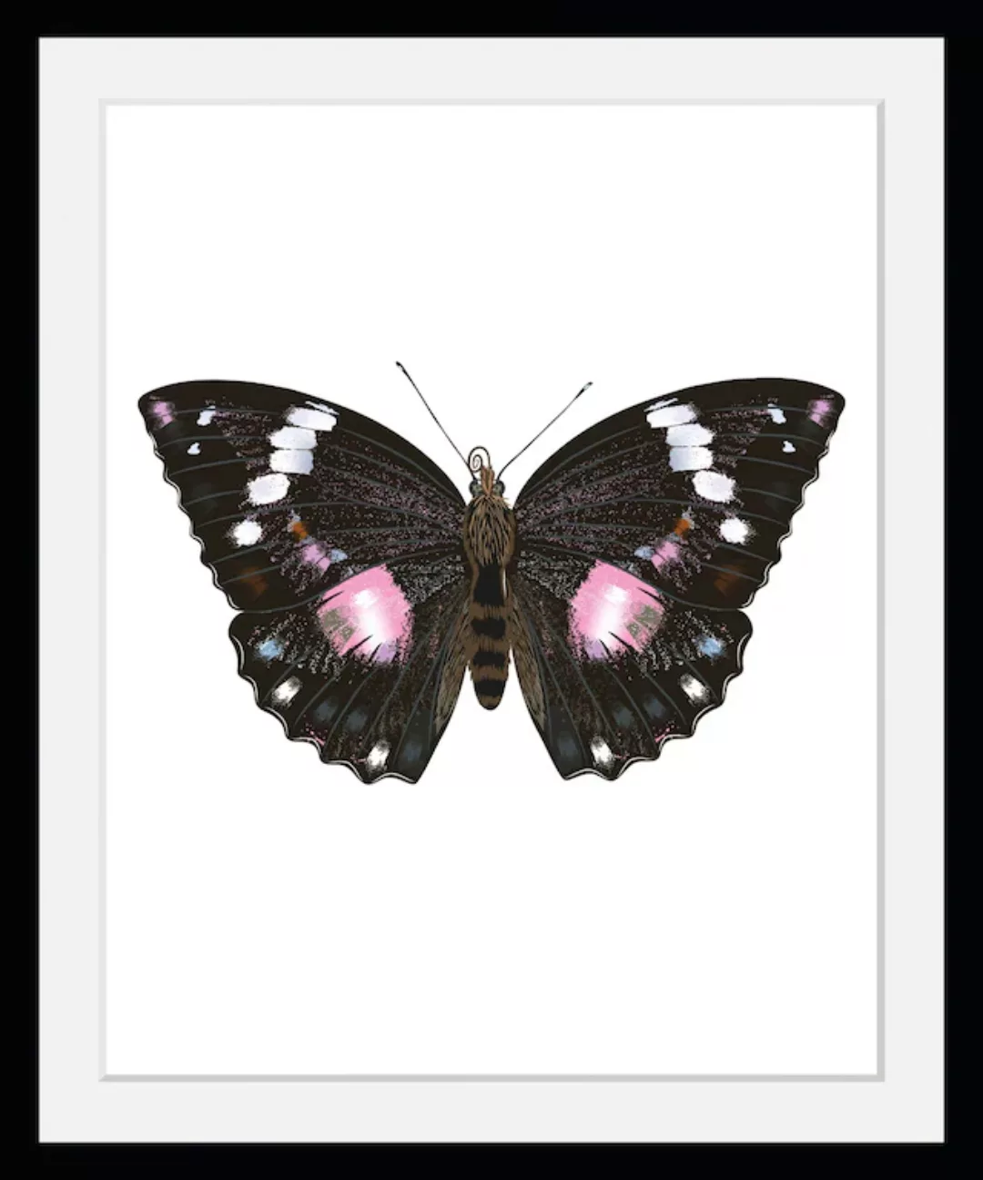 queence Bild »Marissa«, Schmetterlinge-Kunst-Insekten-historische Ereigniss günstig online kaufen