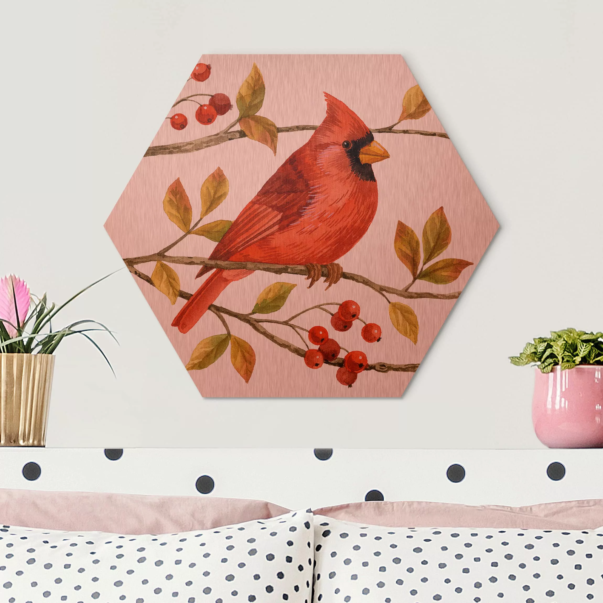 Hexagon-Alu-Dibond Bild Tiere Vögel und Beeren - Rotkardinal günstig online kaufen