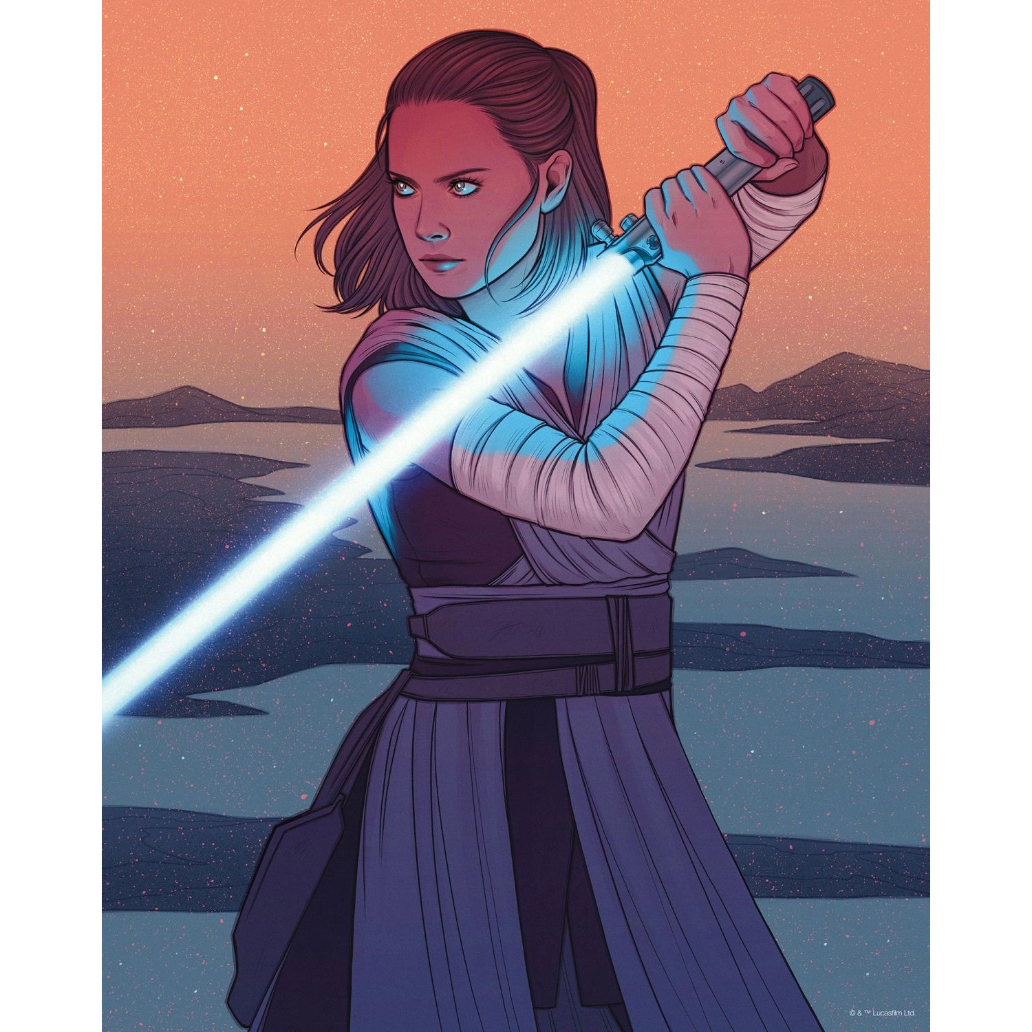 Disney Poster Star Wars Rey Orange und Grau 40 cm x 50 cm 612871 günstig online kaufen